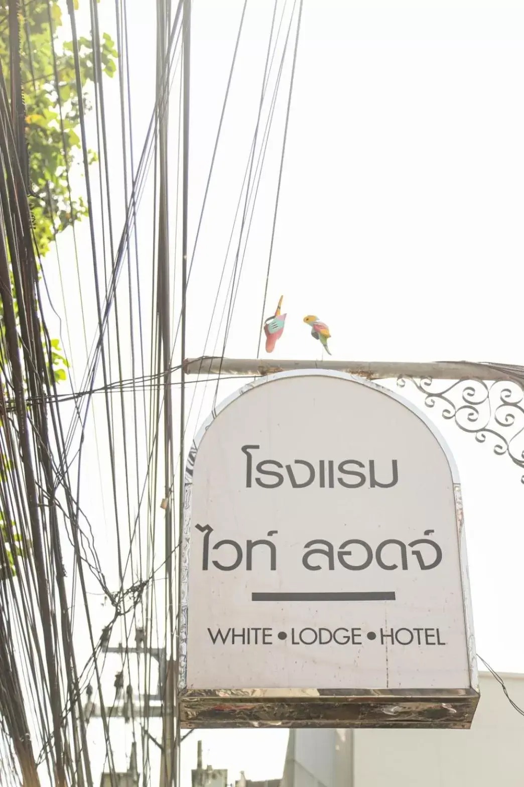 Property logo or sign in White Lodge Hotel Bangkok