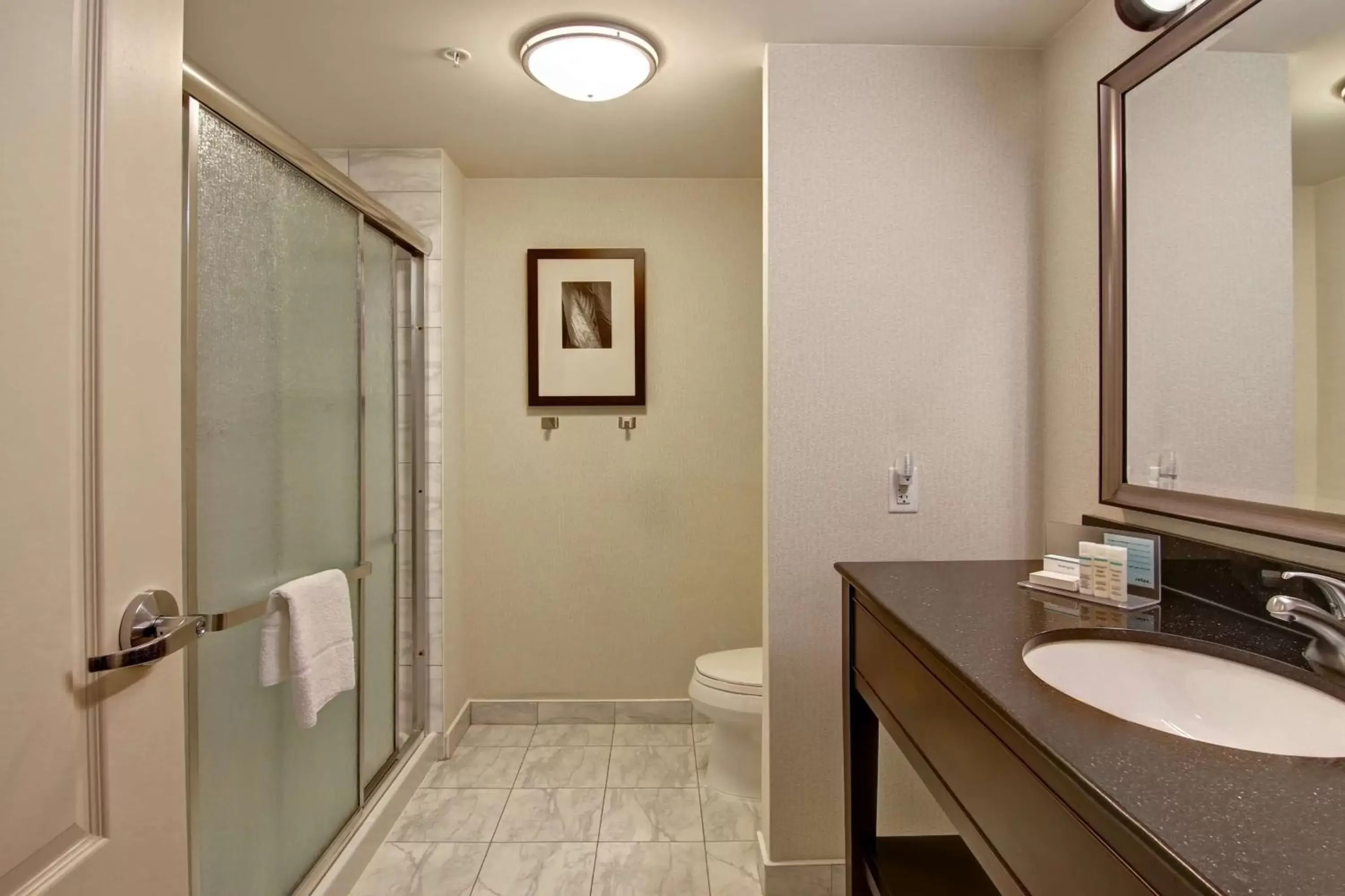 Bathroom in Hampton Inn by Hilton Toronto Airport Corporate Centre