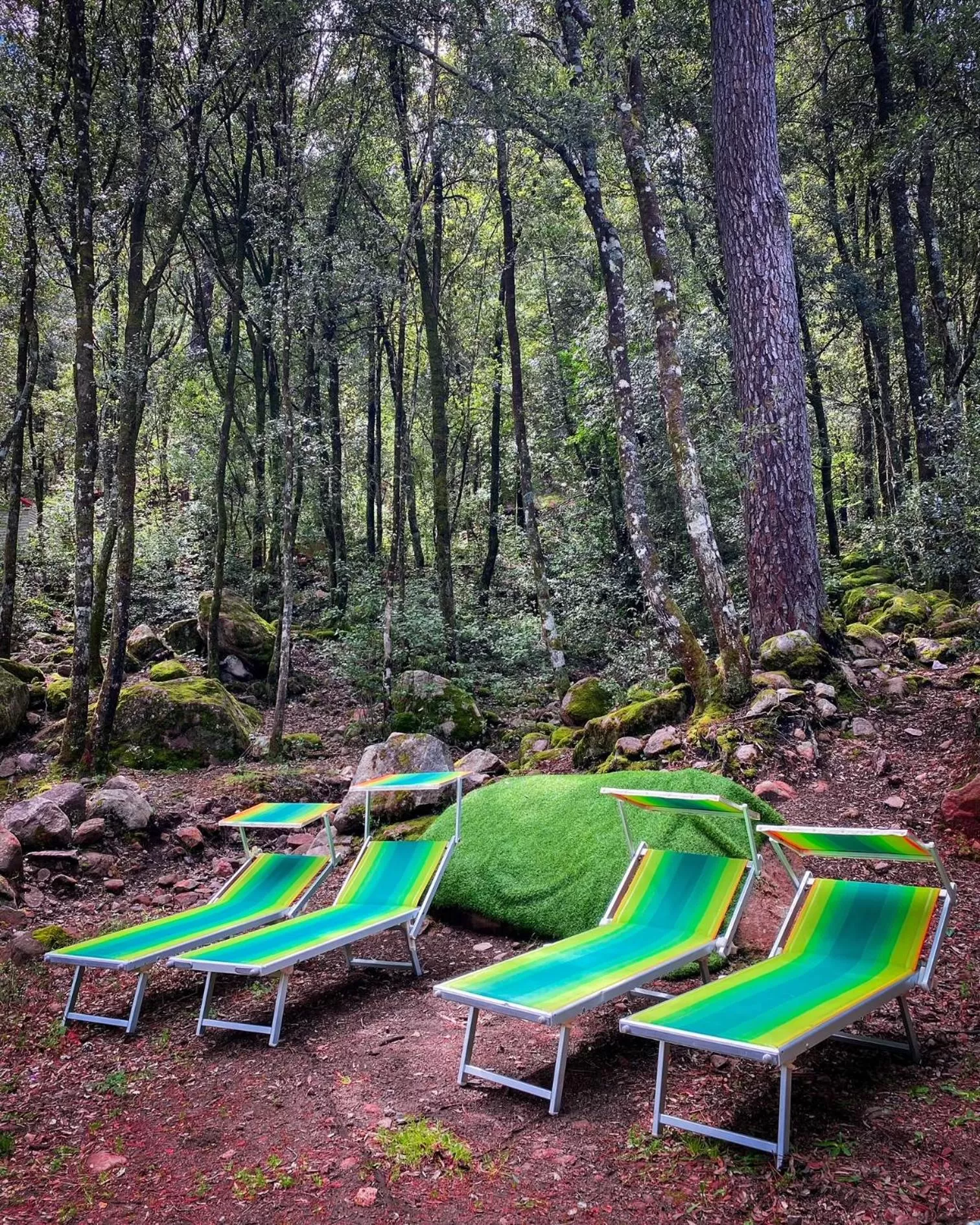 Swimming Pool in Auberge De La Foret Bonifatu