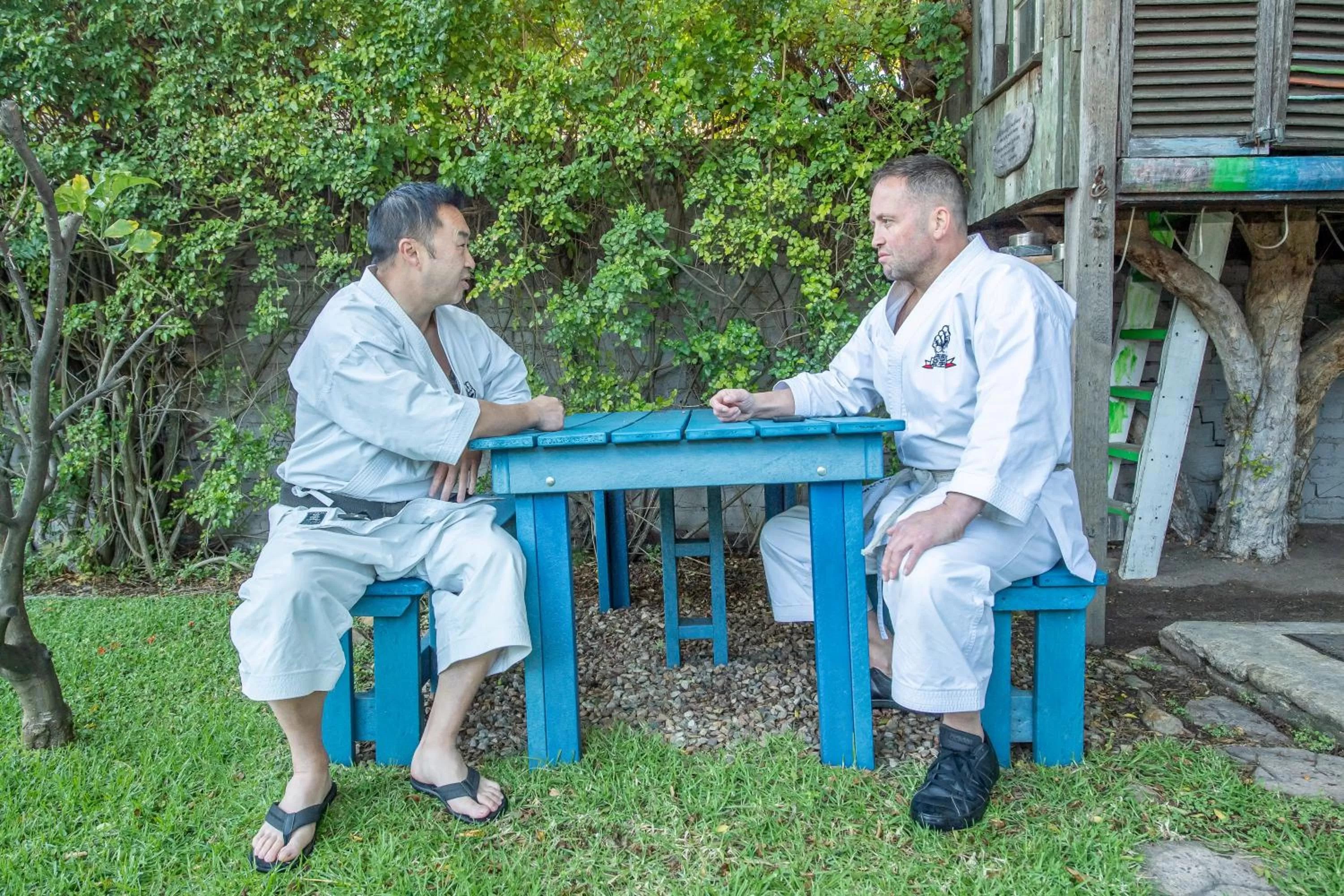 Garden in Villa Garda B&B