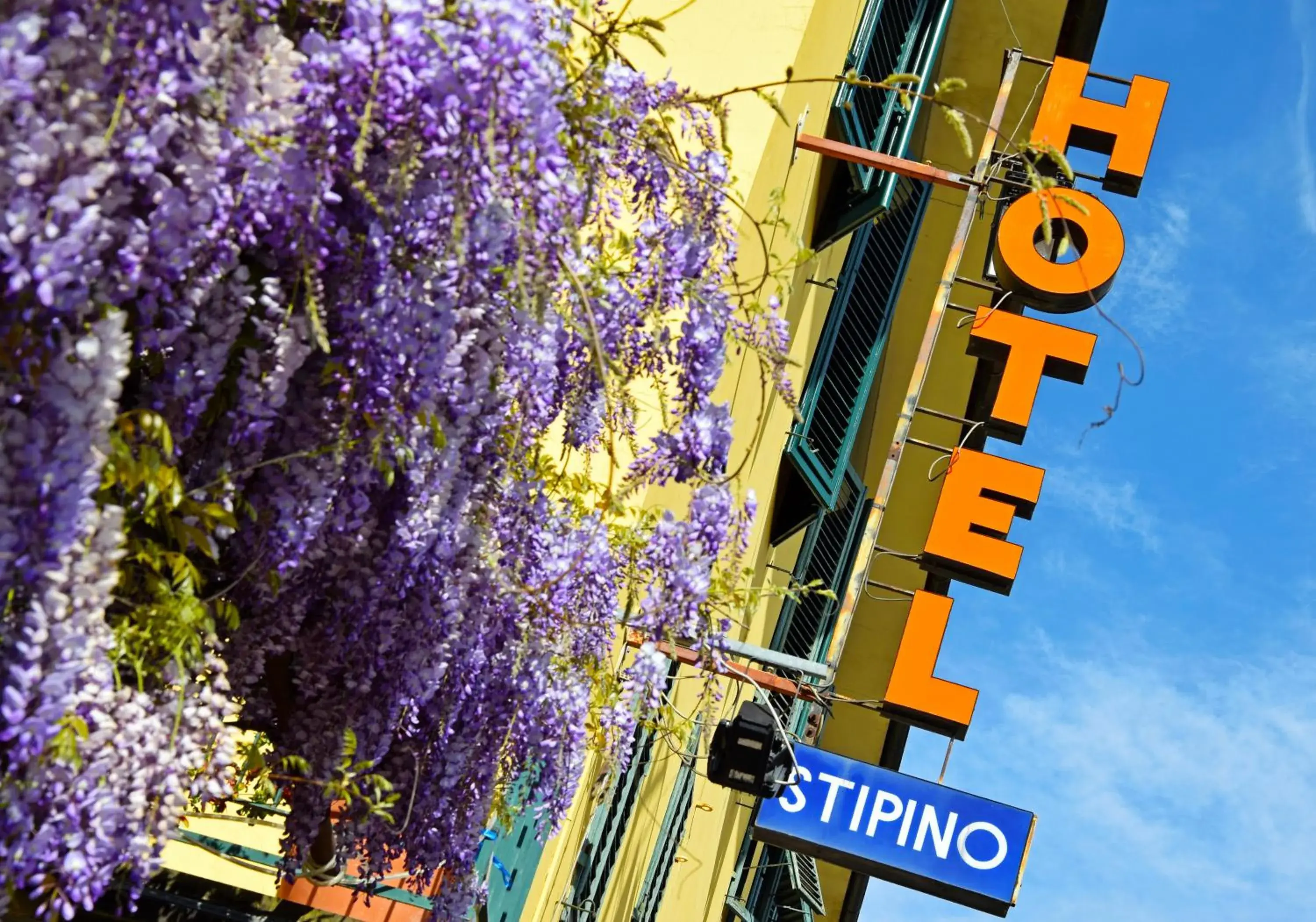 Property Building in Hotel Stipino