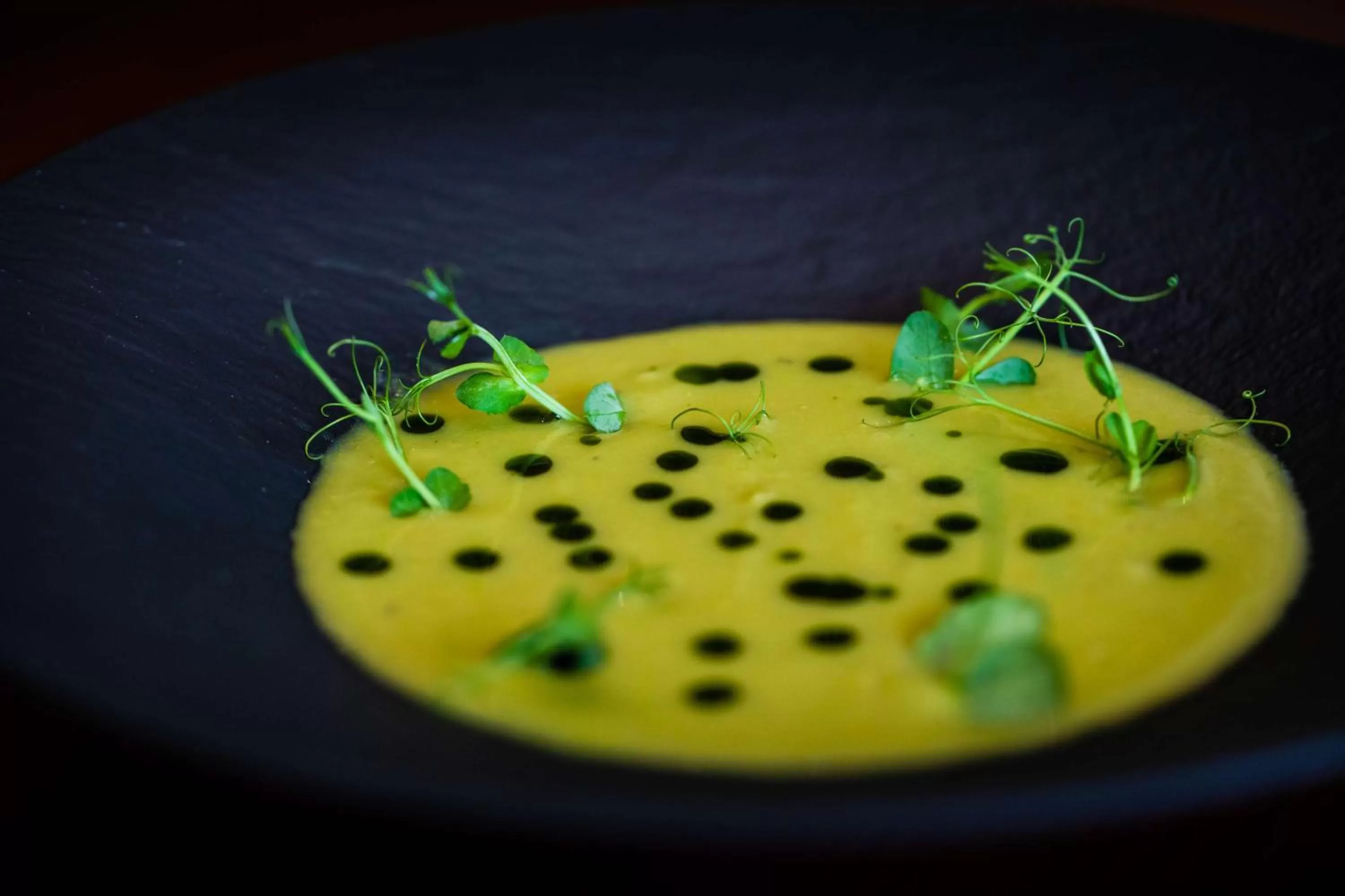 Lounge or bar in Hilton Nicosia