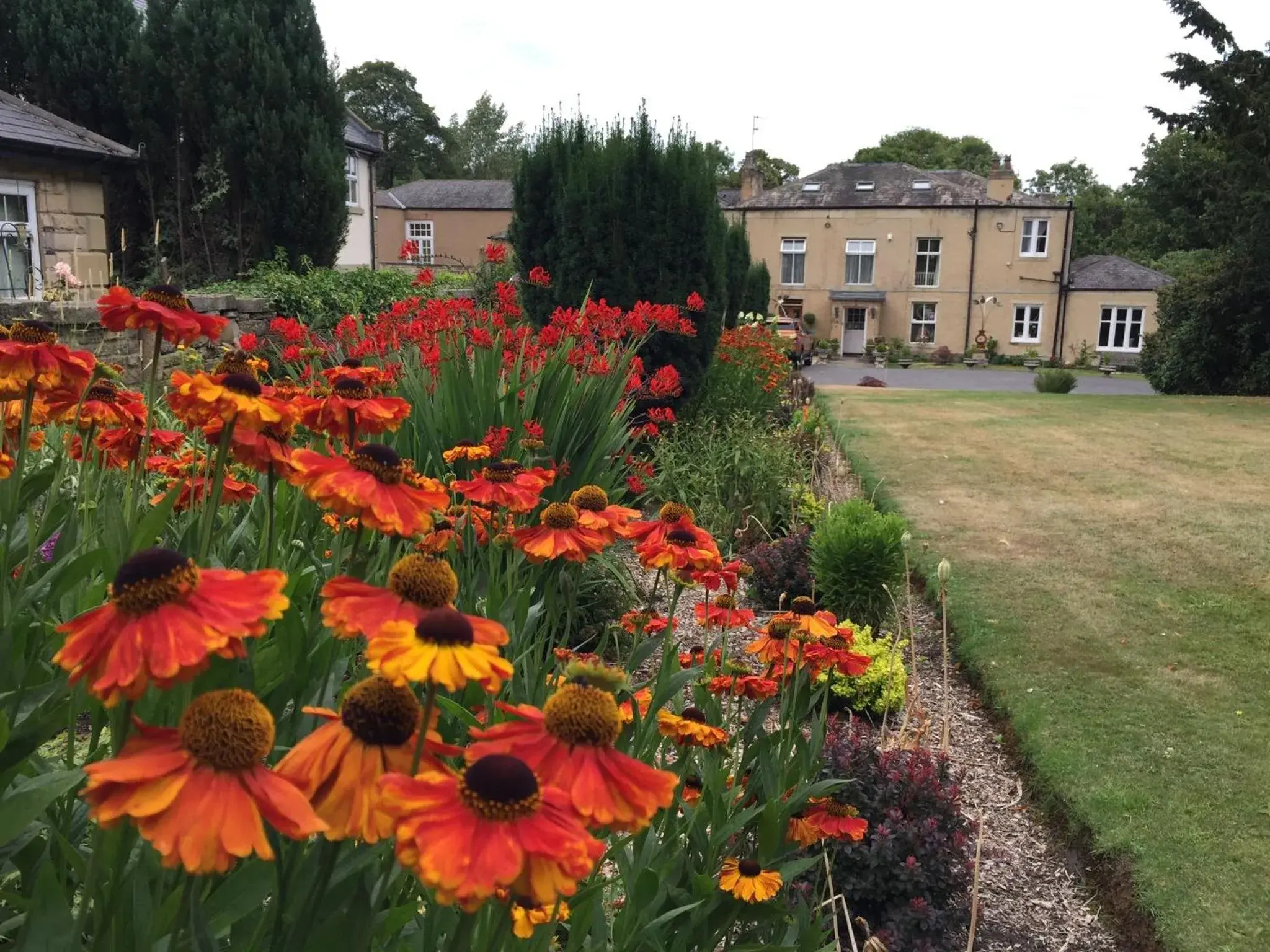 Garden view, Garden in Hedgefield House