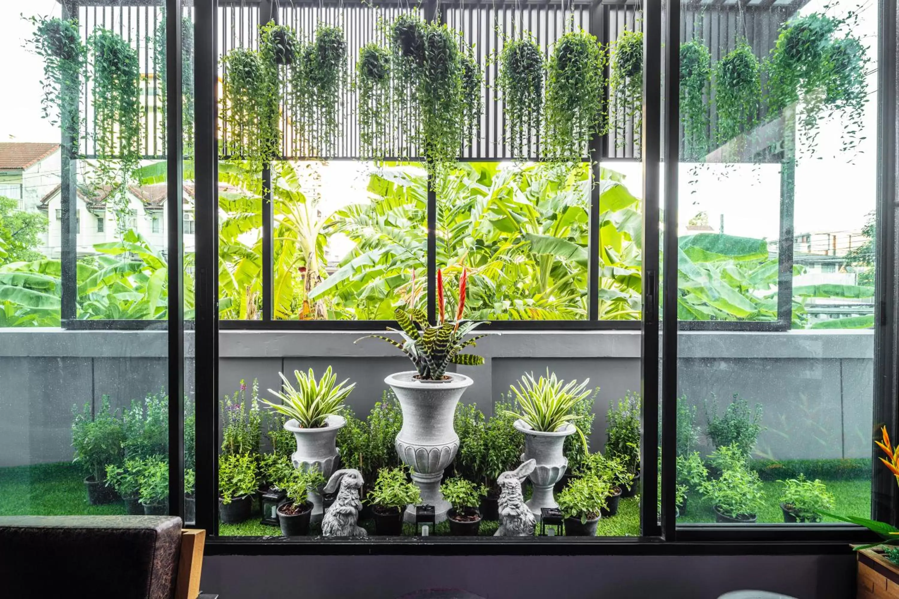 Garden view in Aliz Hotel Garden view in Aliz Hotel