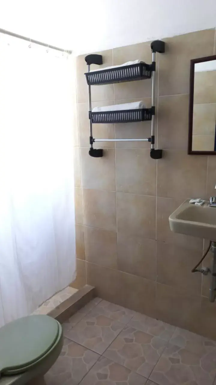 Shower, Bathroom in Hotel & Hostal Mayflower