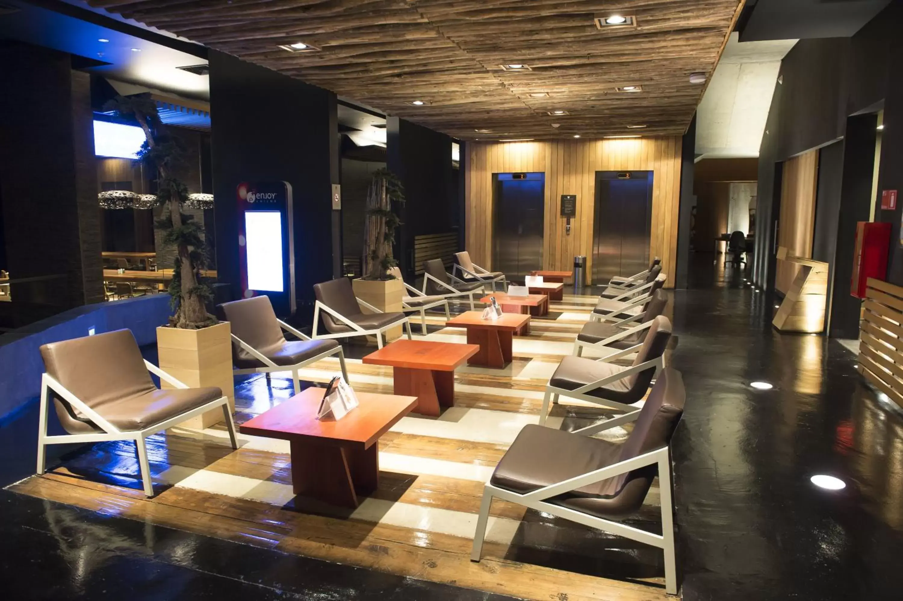 Lounge or bar in Enjoy Chiloé Lounge or bar in Enjoy Chiloé