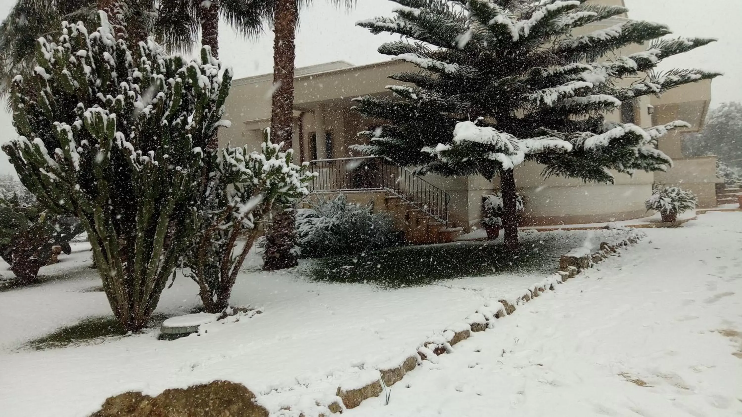 Winter in Villa Narducci