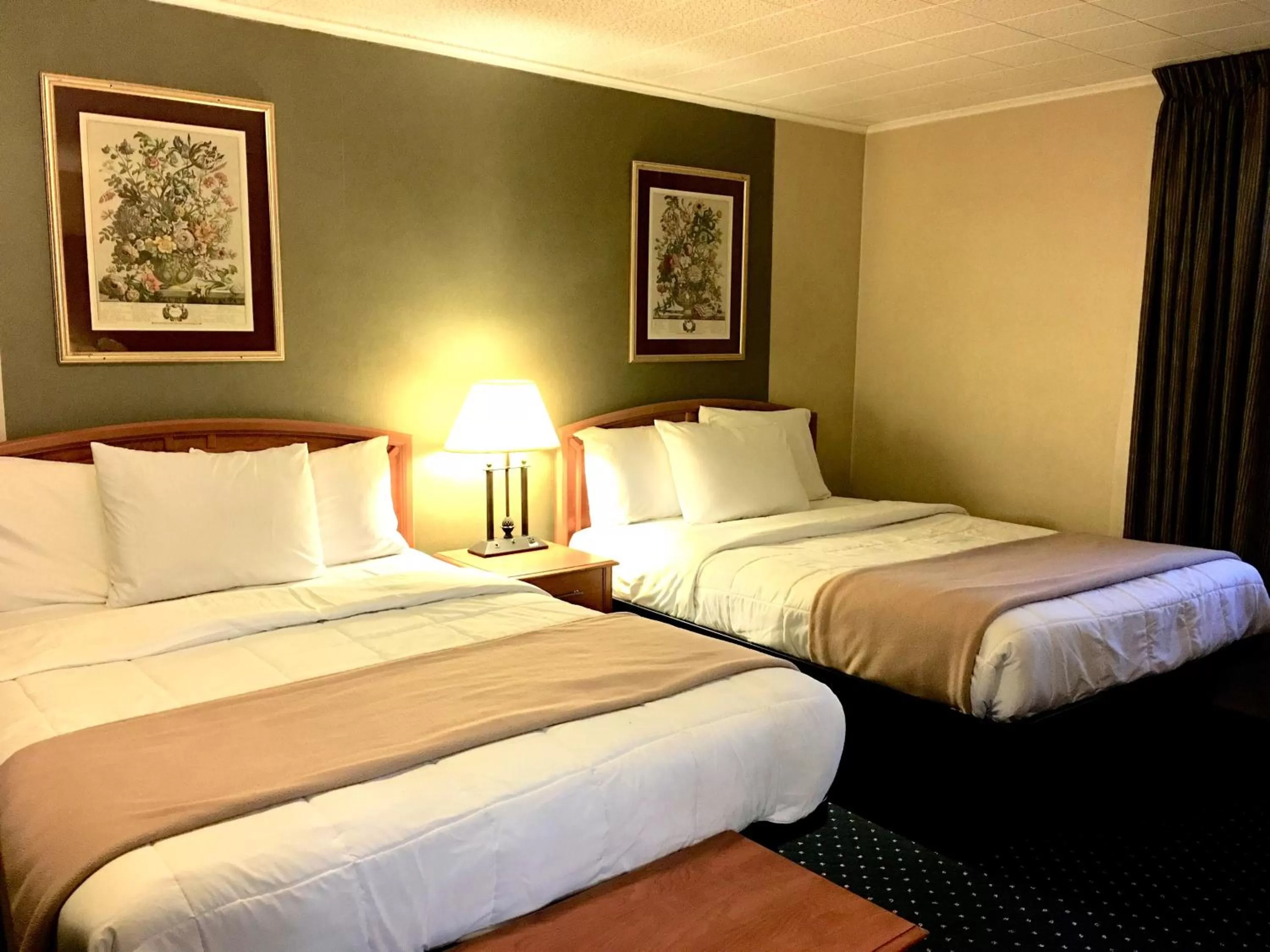 Bed in Scottish Inns Fayetteville