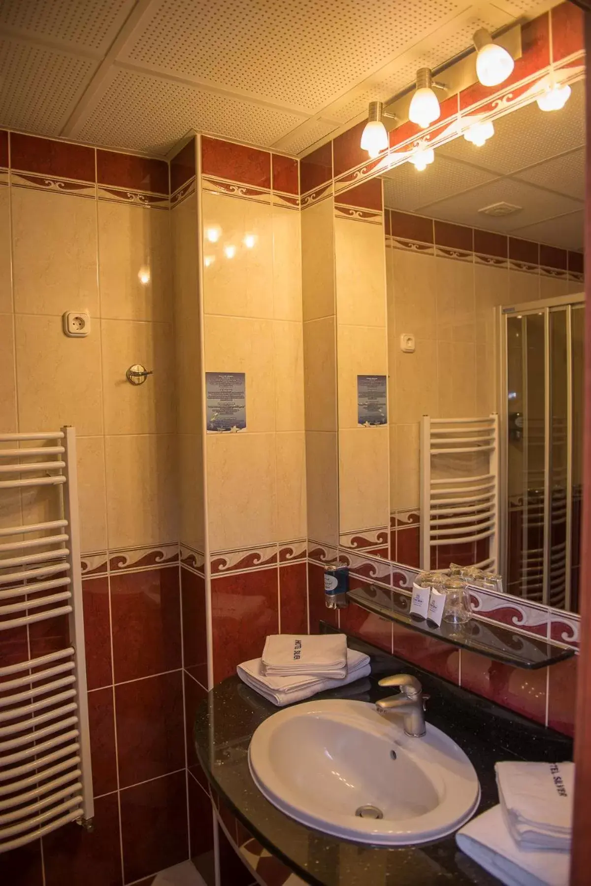 Bathroom in Hotel Silver