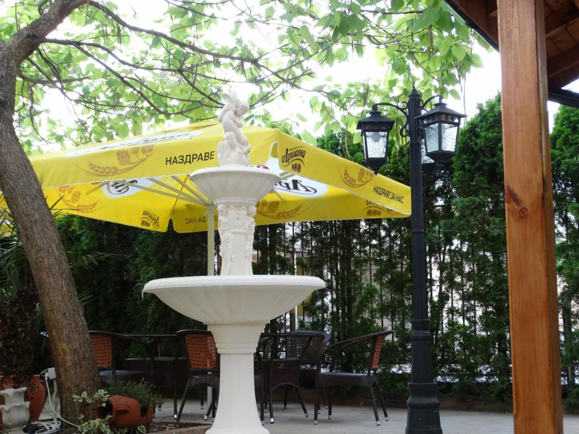 Garden in Vesta Hotel