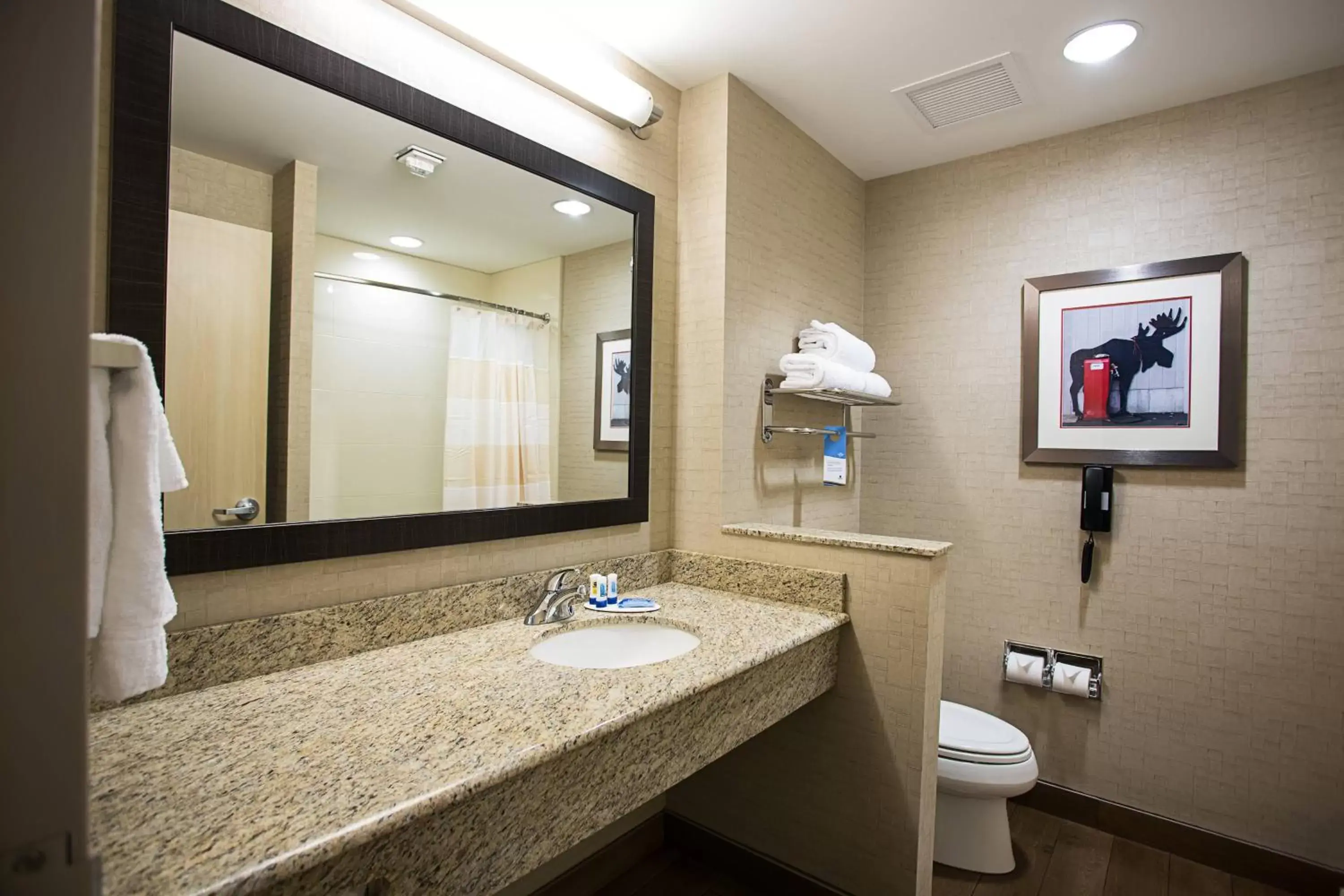 Bathroom in Fairfield Inn & Suites by Marriott Moscow