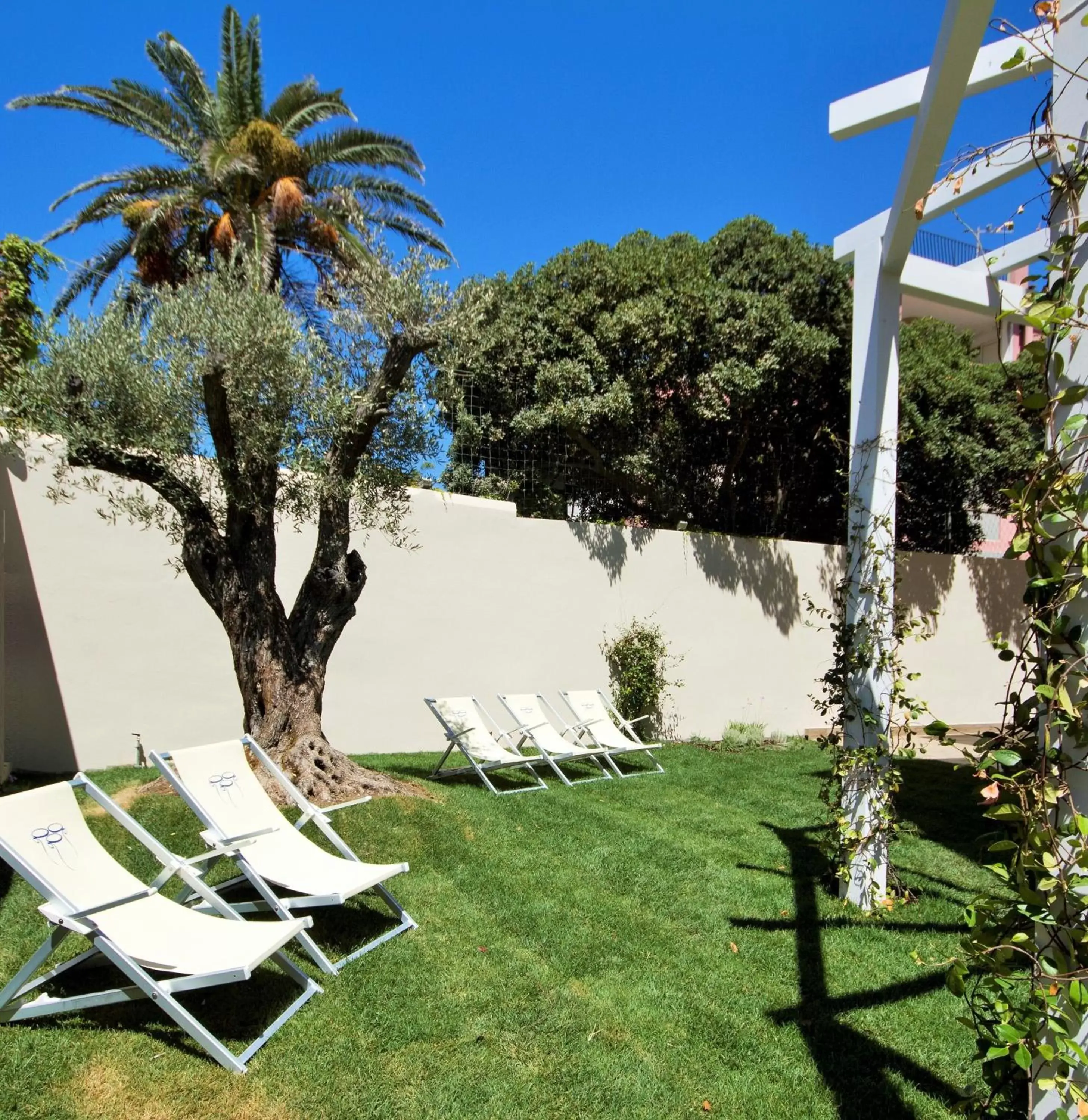 Garden in Hotel Nautilus