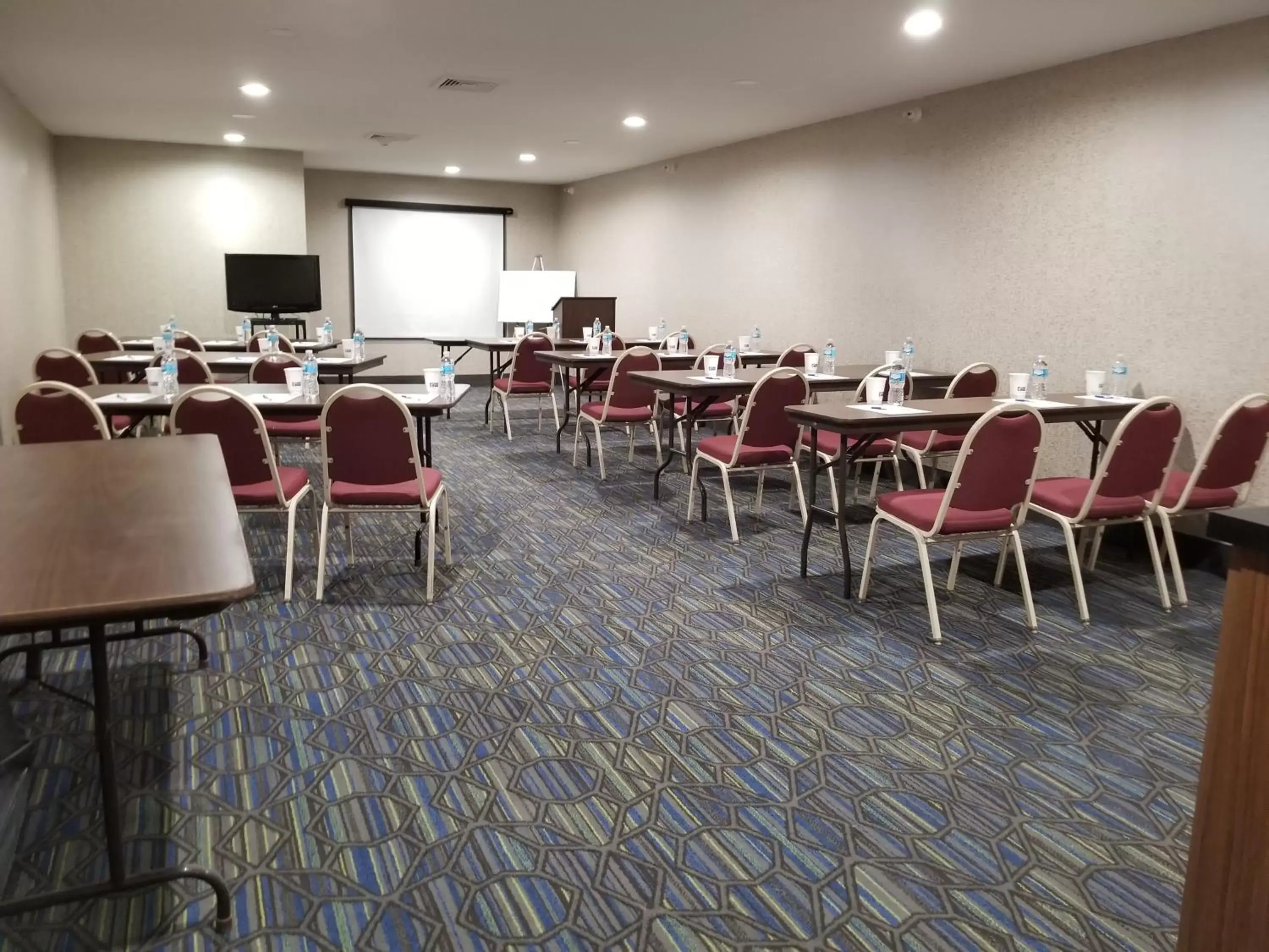 Meeting/conference room in Holiday Inn Express Birch Run-Frankenmuth Area, an IHG Hotel