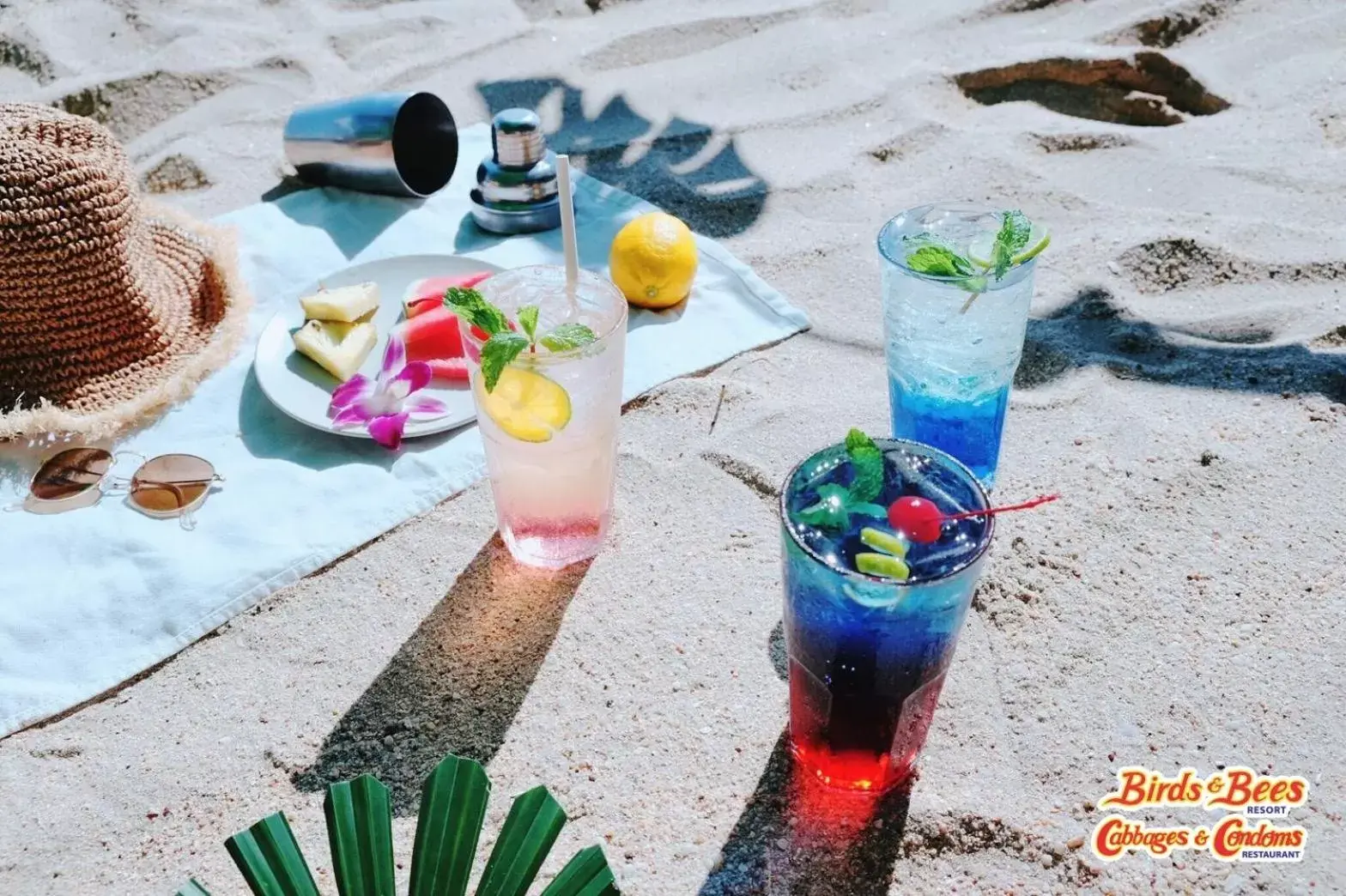 Food and drinks in Birds and Bees Resort Food and drinks in Birds and Bees Resort