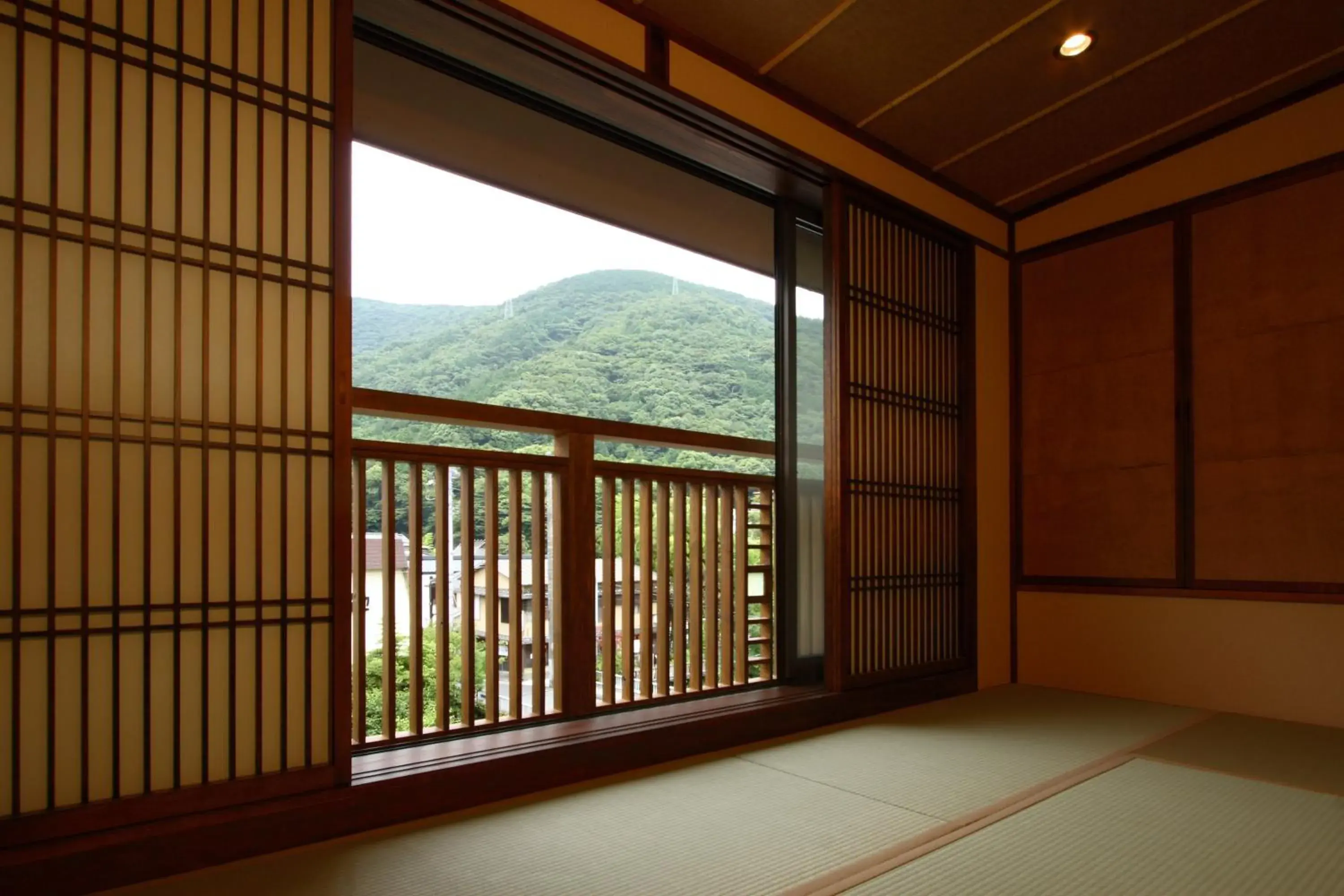 Mountain View in Hakoneyumoto Onsen Yaeikan