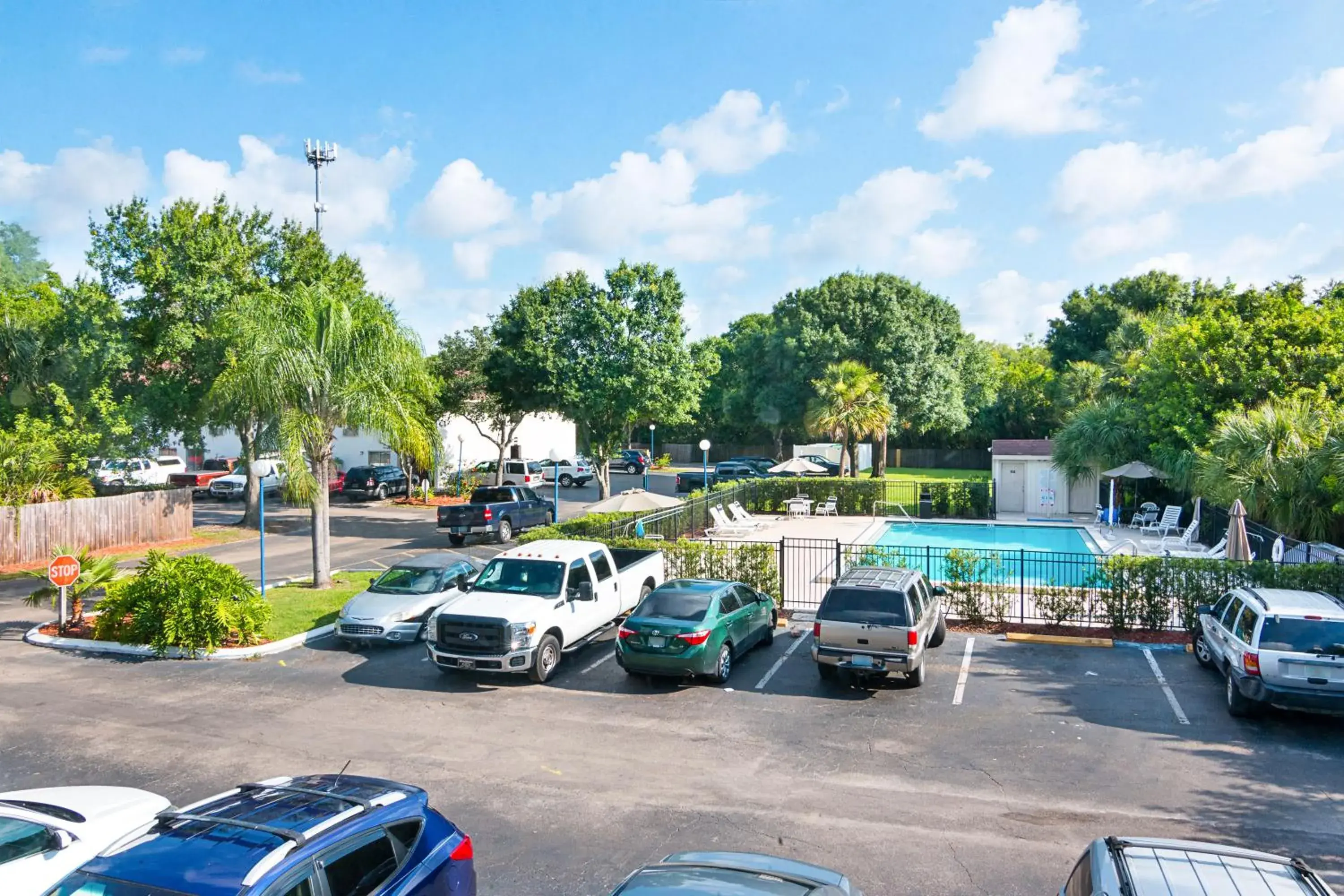 Swimming pool, Neighborhood in Motel 6-Tampa, FL - Fairgrounds