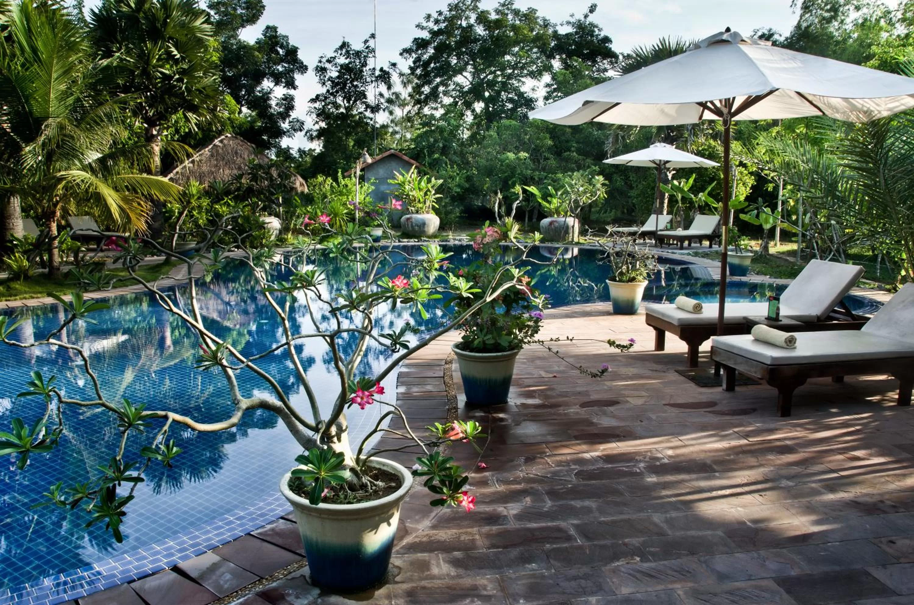 Swimming pool in Battambang Resort