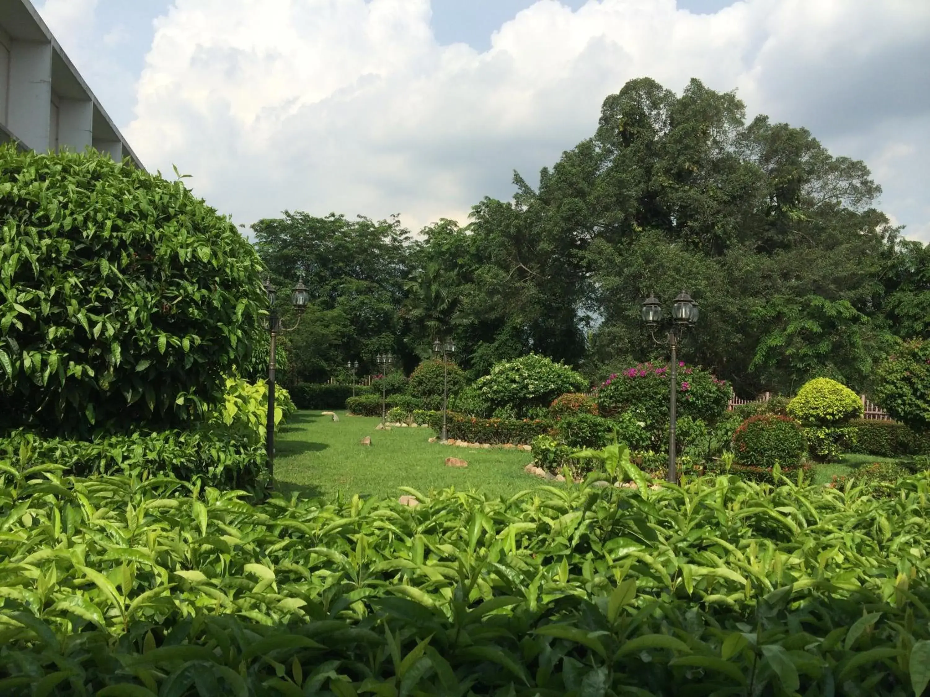 Garden in Straits View Hotel JB