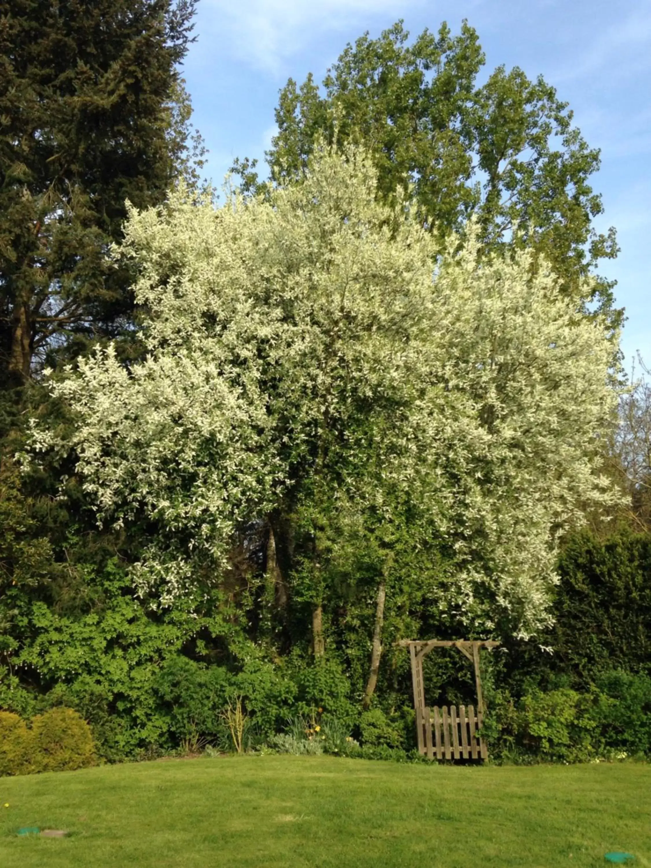 Spring, Garden in Chambres d'hôtes Le Bas Rassinoux