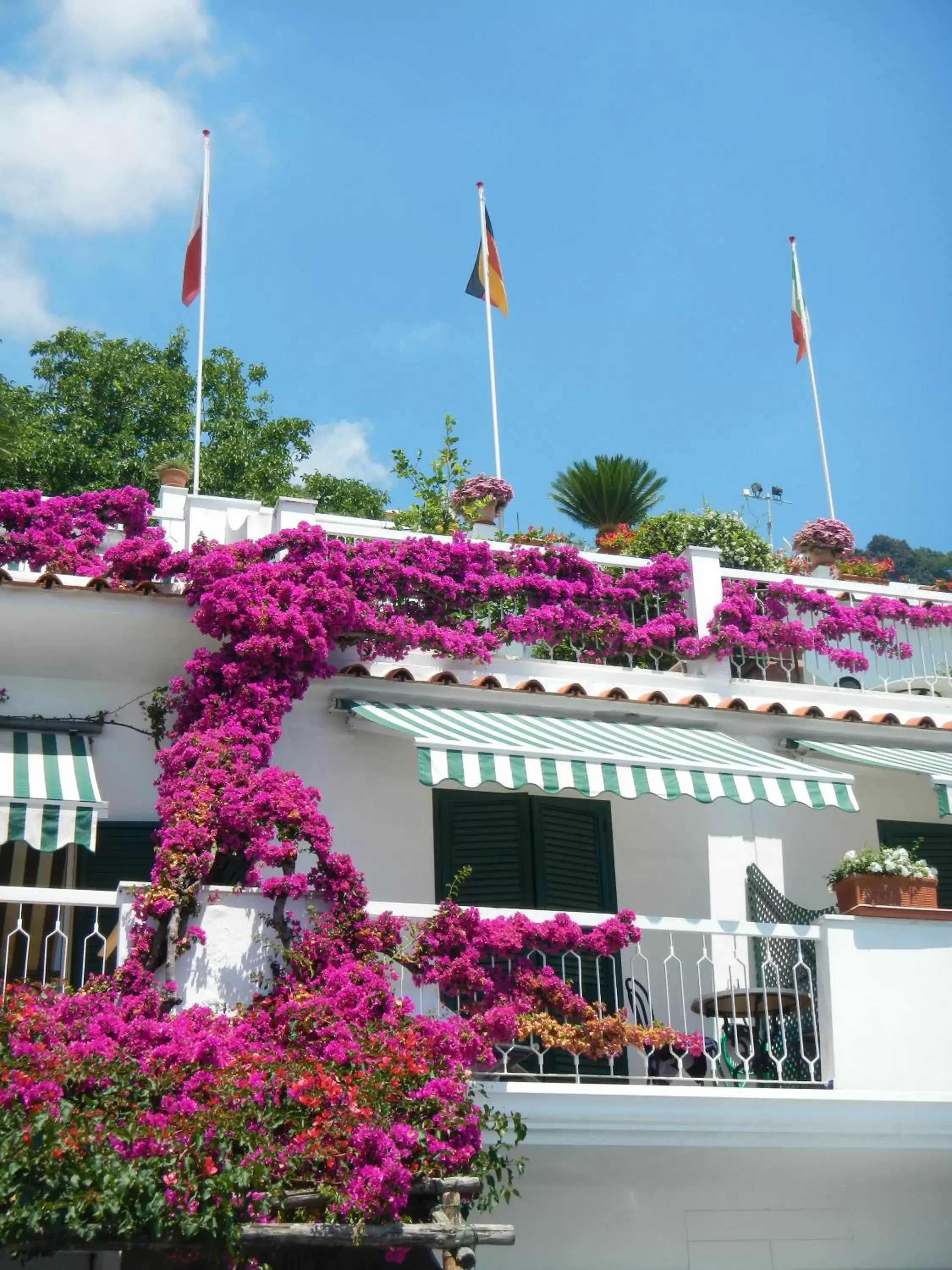 Facade/entrance in Hotel Bellevue Suite