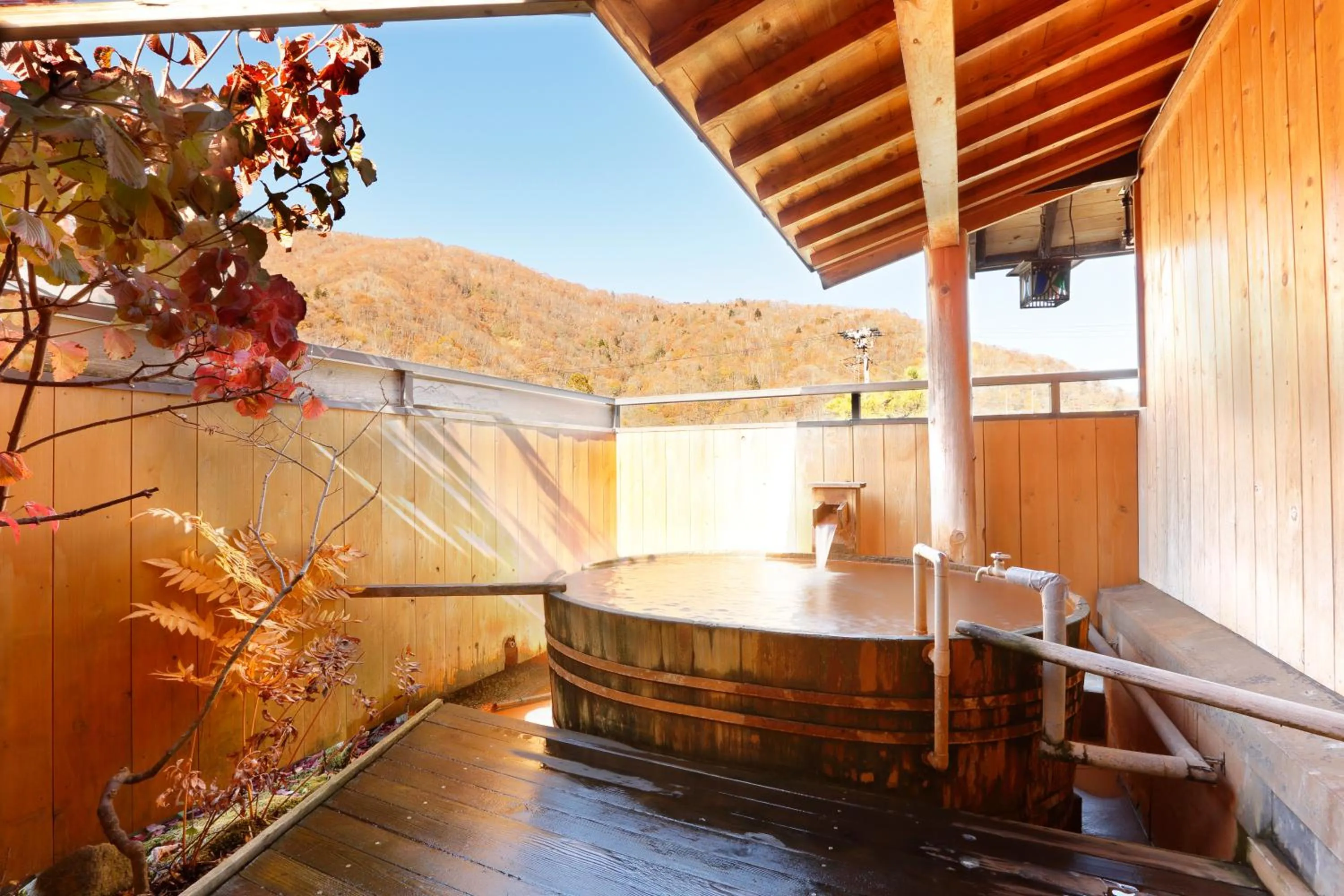 Hot Spring Bath in Tsuyukusa