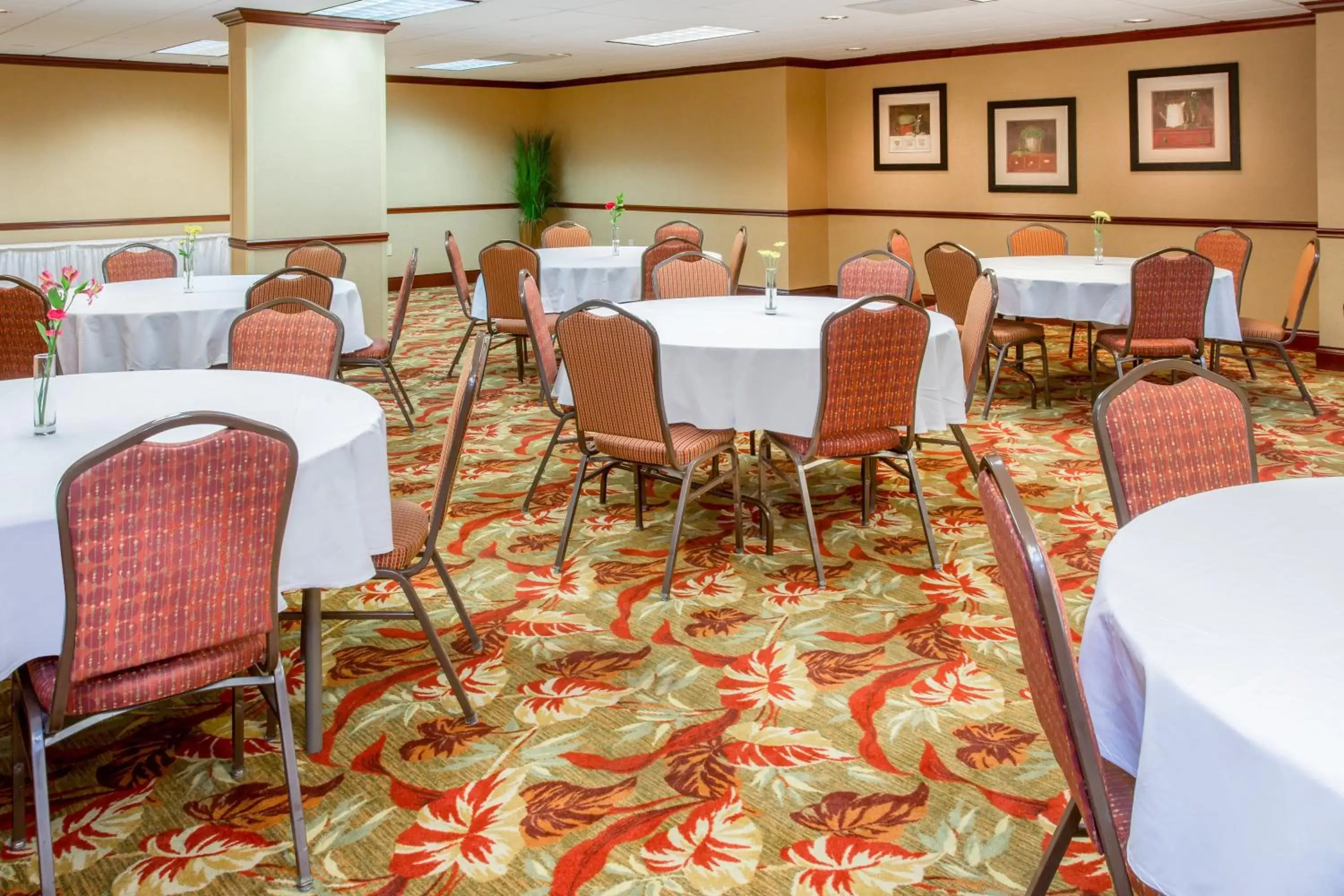 Banquet/Function facilities in Holiday Inn Express & Suites Bloomington, an IHG Hotel