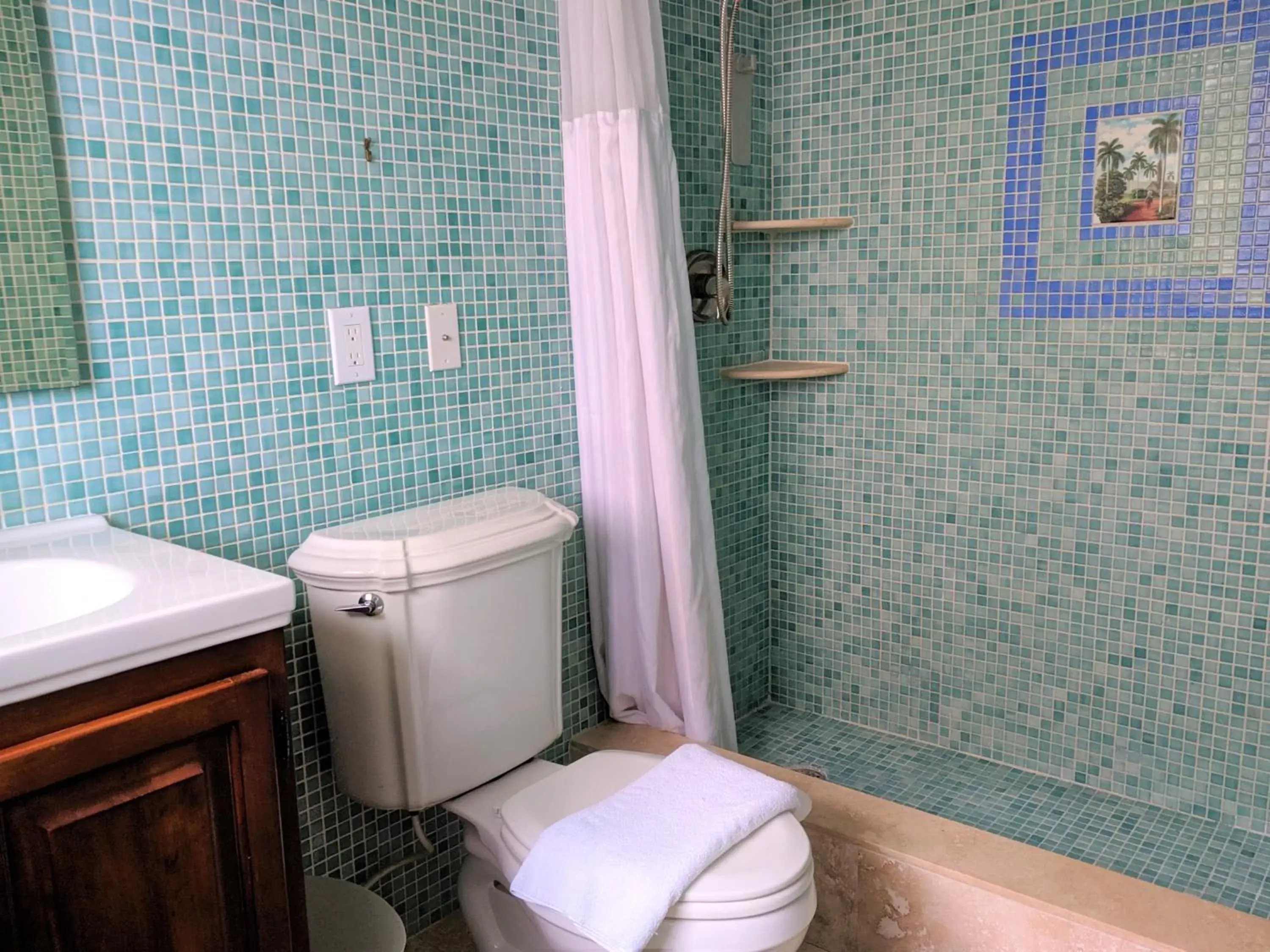 Shower, Bathroom in Manhattan Tower Apartment Hotel