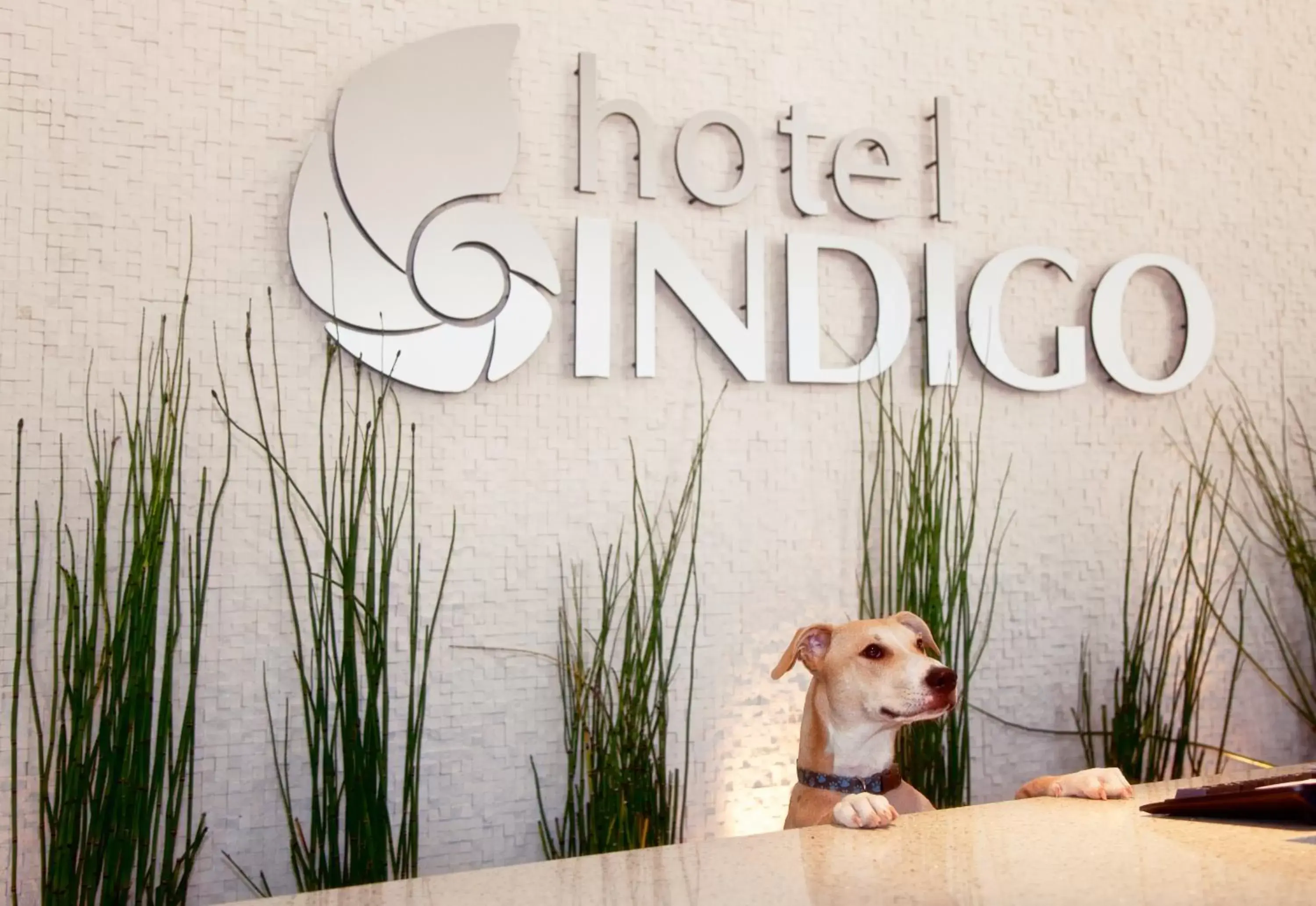 Property building, Pets in Hotel Indigo San Diego - Gaslamp Quarter, an IHG Hotel