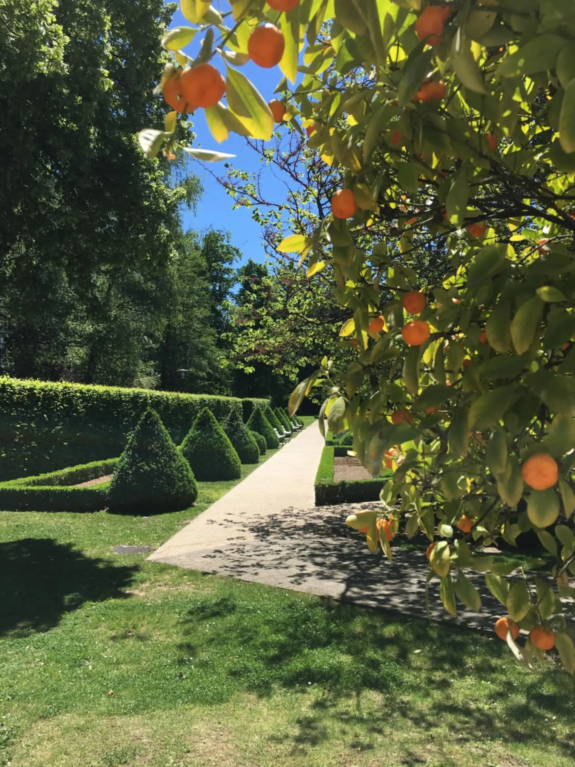 Day, Garden in Mondorf Parc Hotel & Spa
