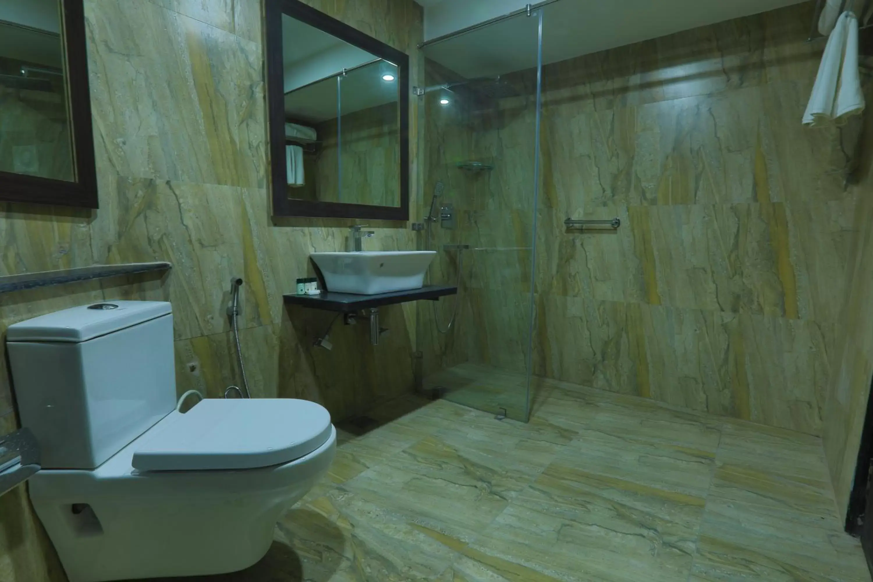 Shower, Bathroom in Hotel Natraj Rishikesh