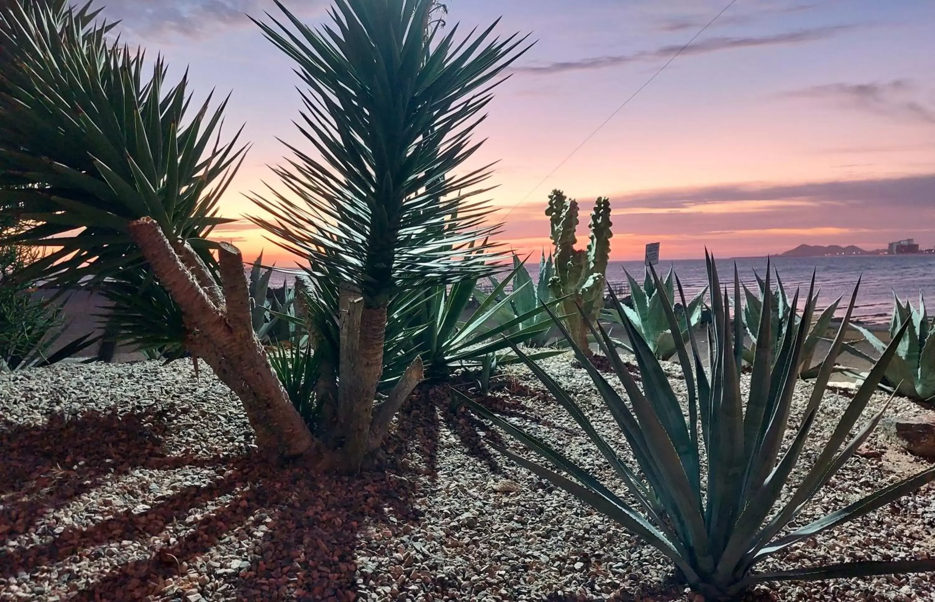 Garden in Peñasco del Sol Hotel