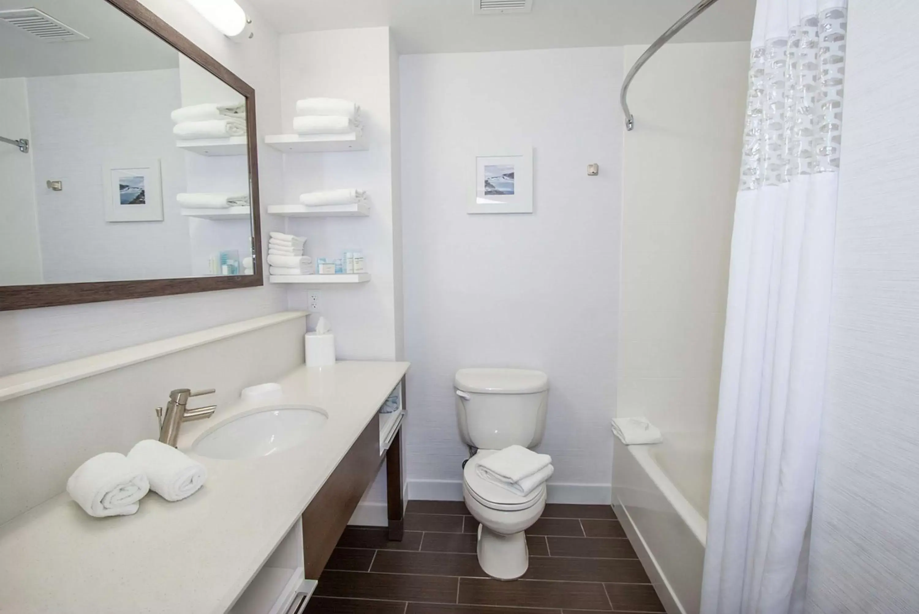 Bathroom in Hampton Inn - Great Falls