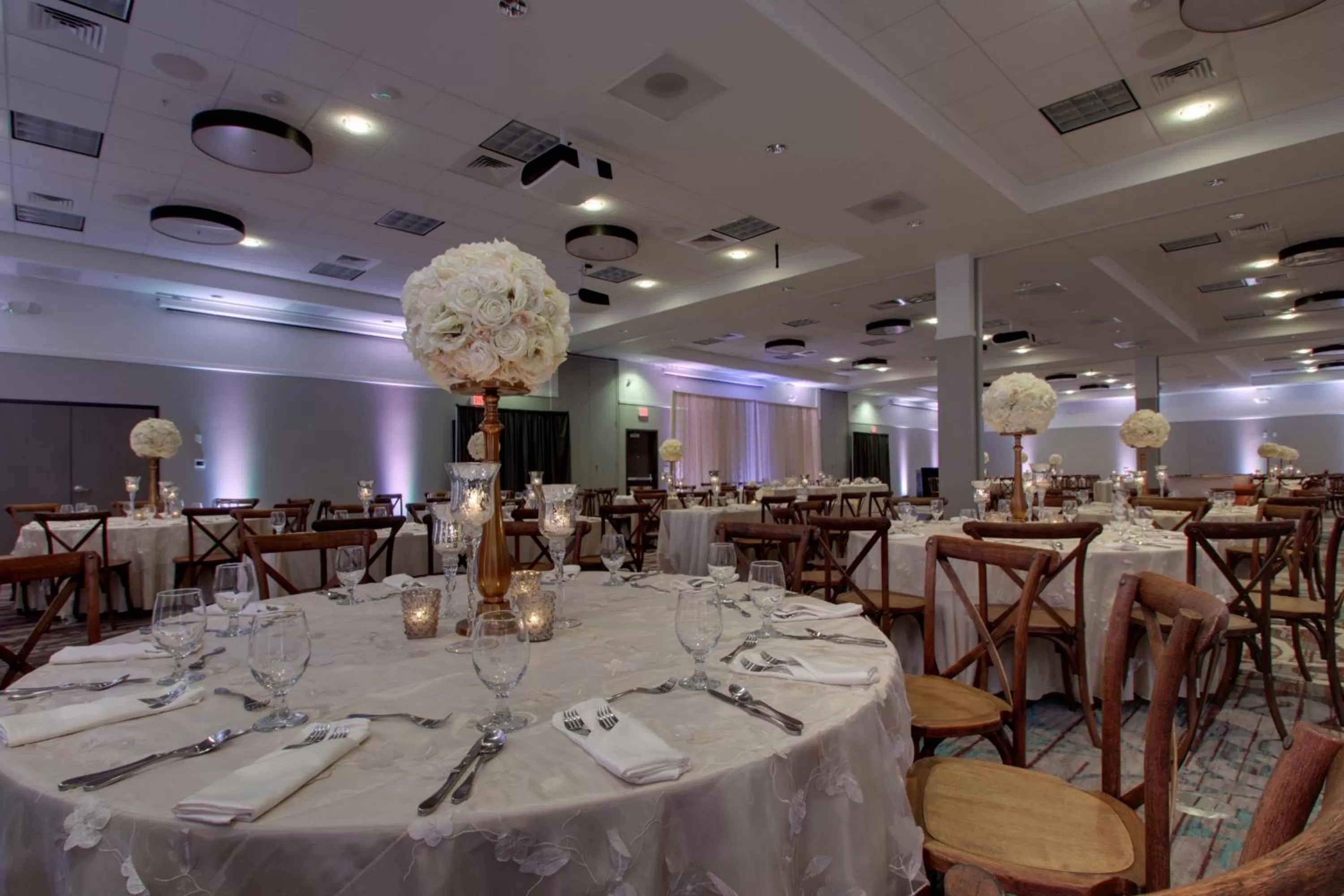 Banquet/Function facilities in Holiday Inn & Suites Peoria at Grand Prairie by IHG