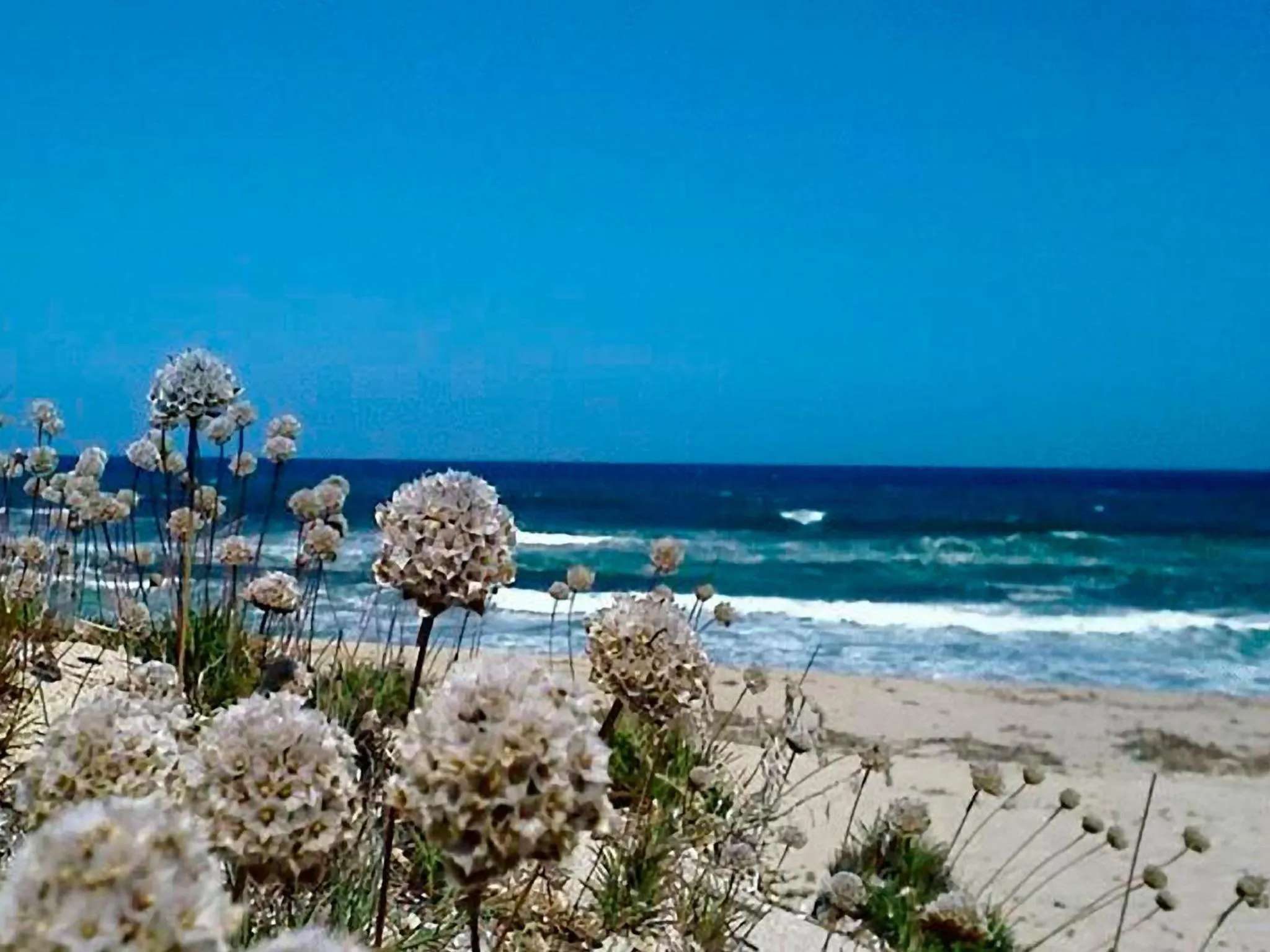 Beach in Hotel Ariadimari