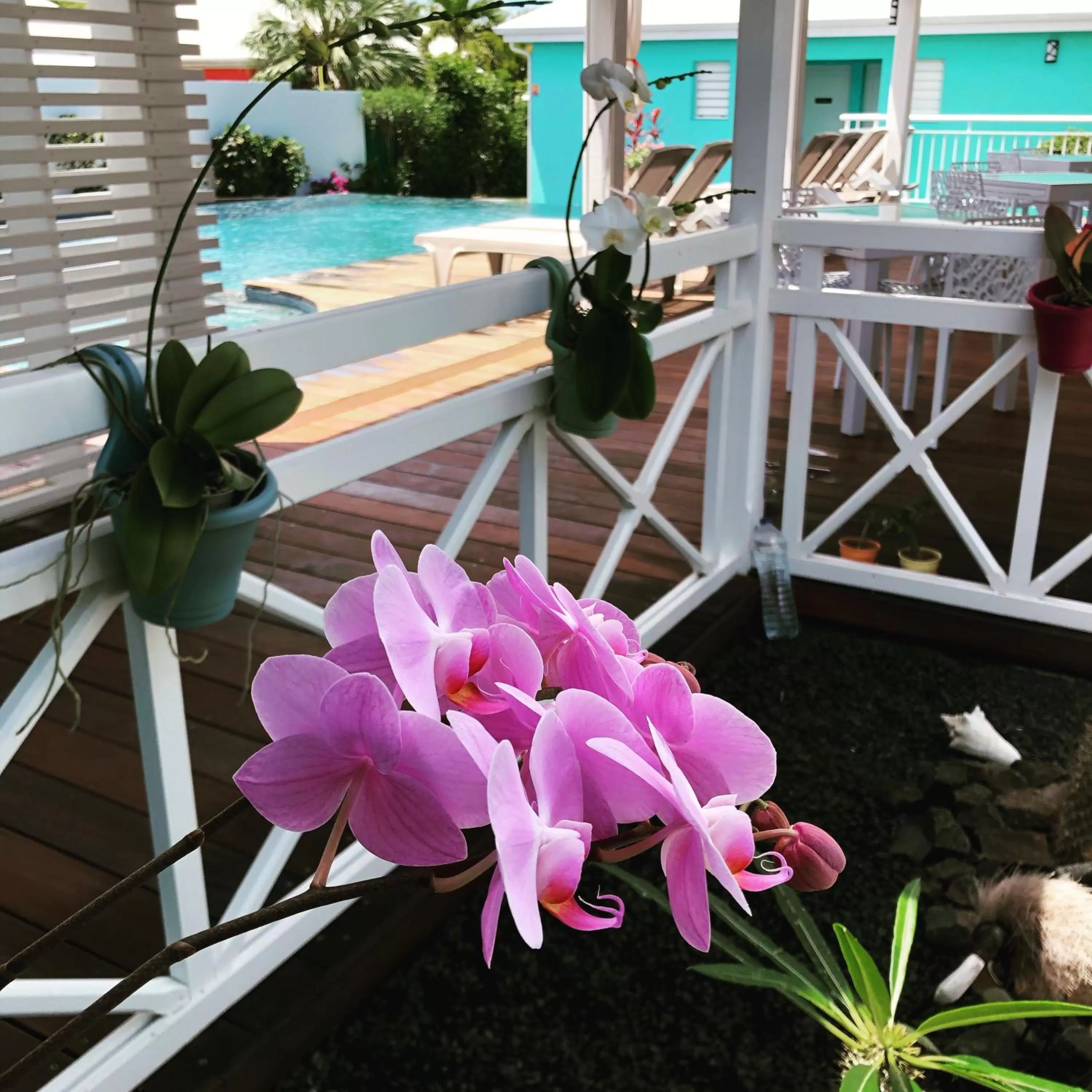 Patio in Hôtel La Christophine