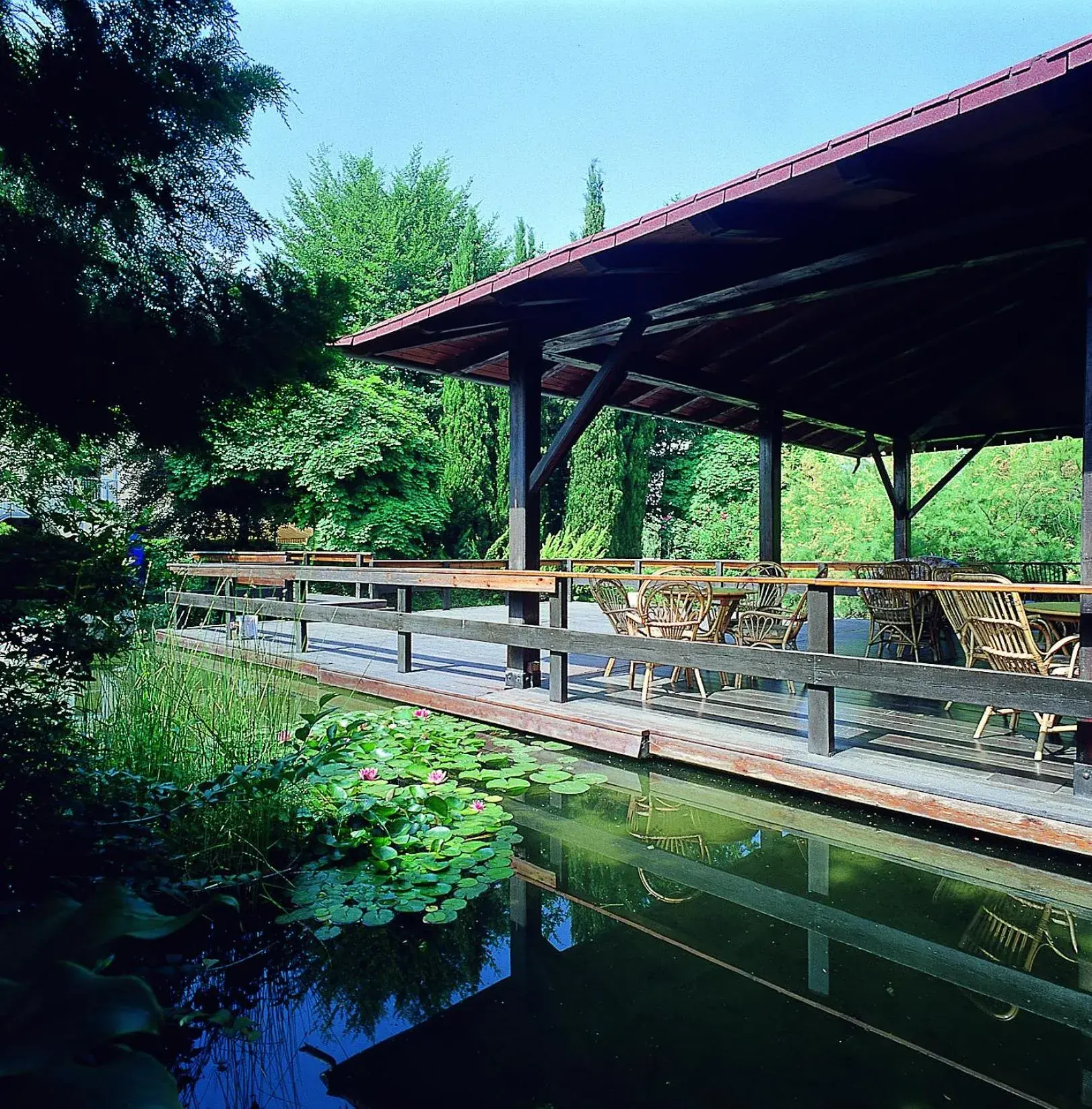 Garden, Swimming Pool in Parc Hotel Casa Mia