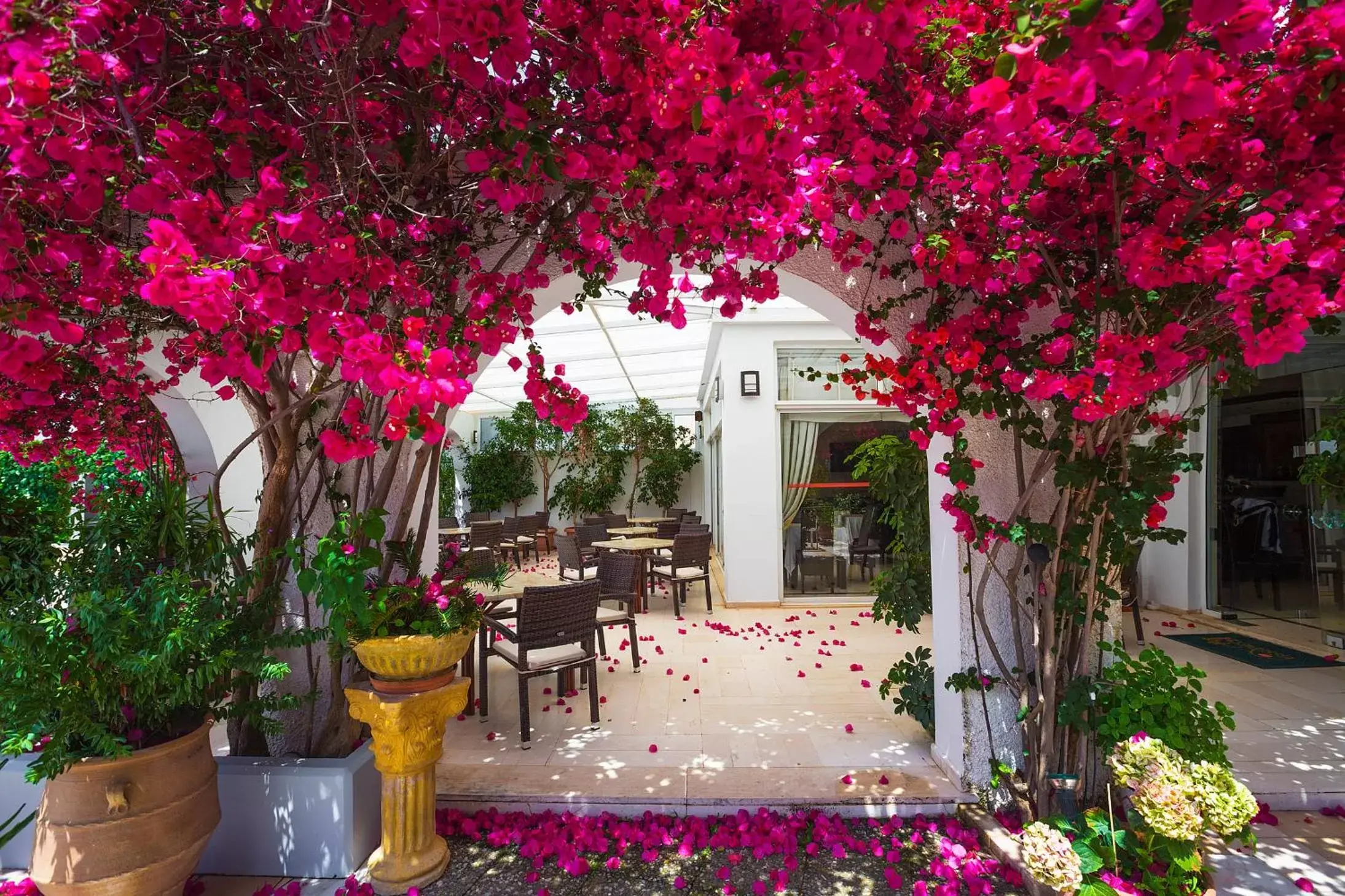 Patio in Kyparissia Beach Hotel