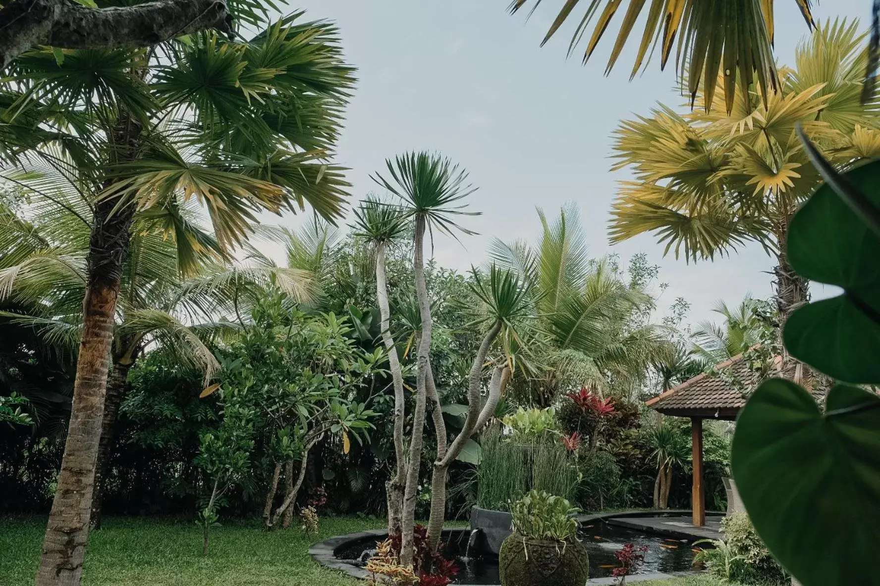 Garden in Adiwana Unagi Suites