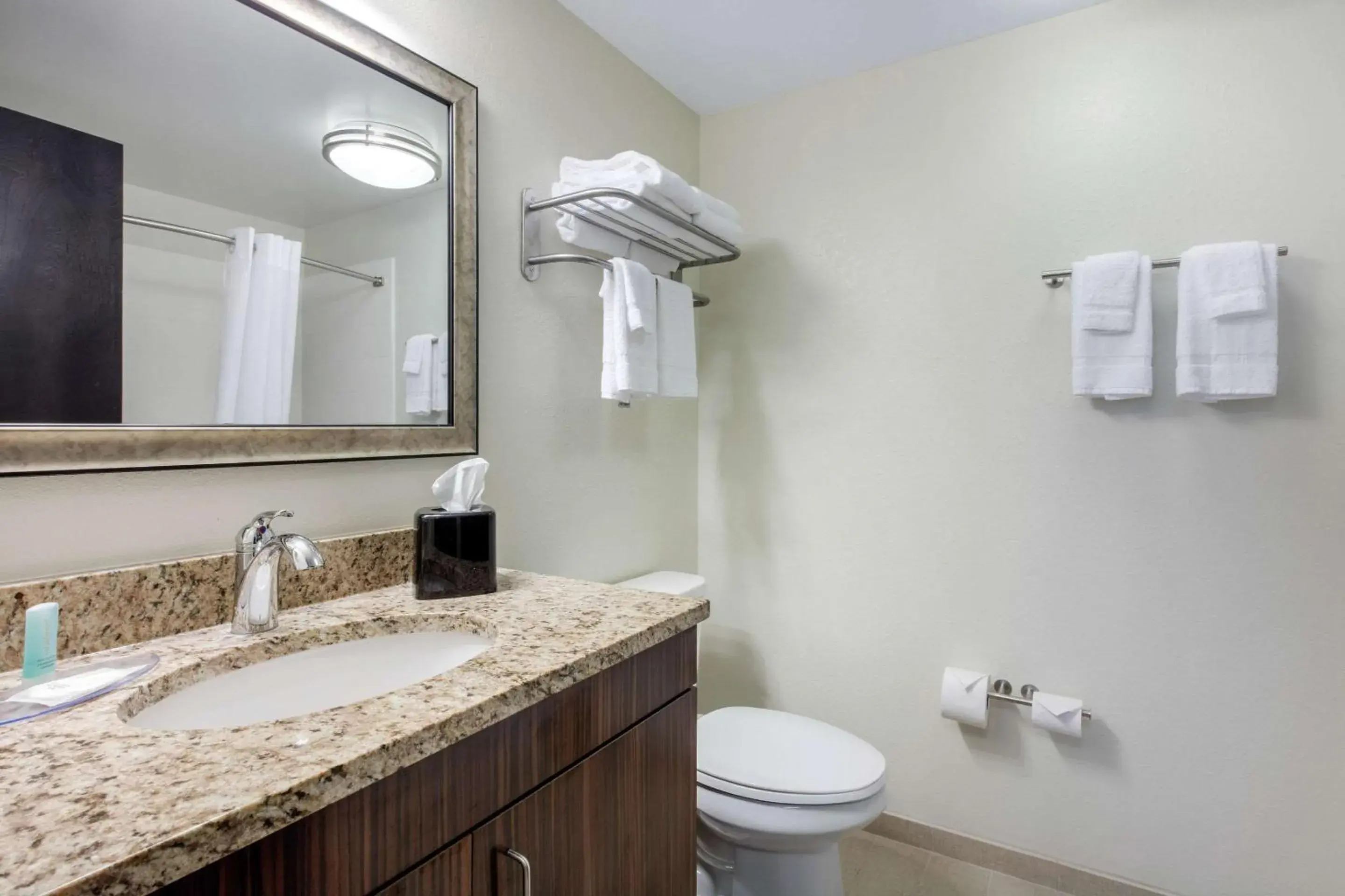 Bathroom in MainStay Suites St. Louis - Airport