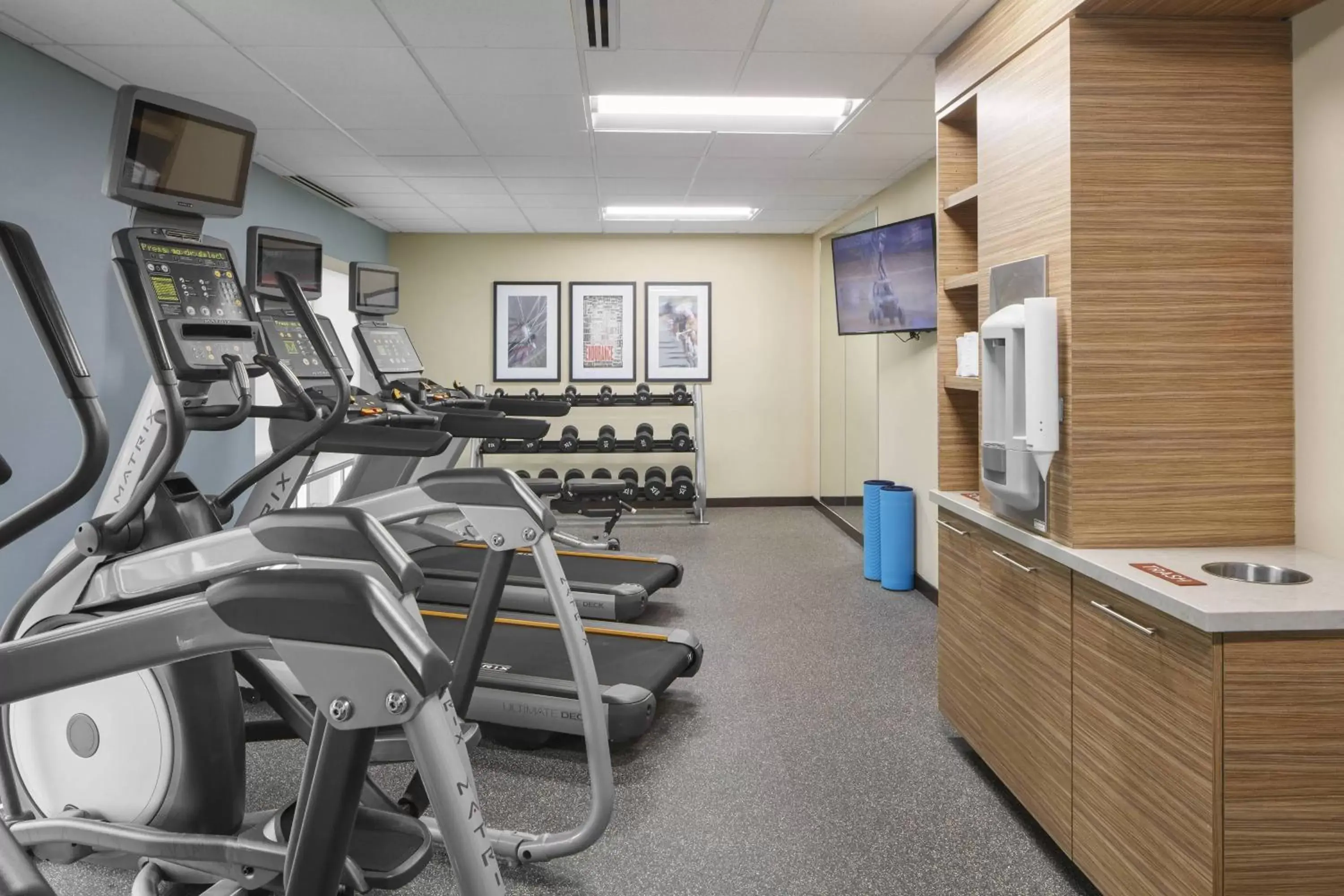 Fitness centre/facilities, Fitness Center/Facilities in TownePlace Suites by Marriott Tampa South