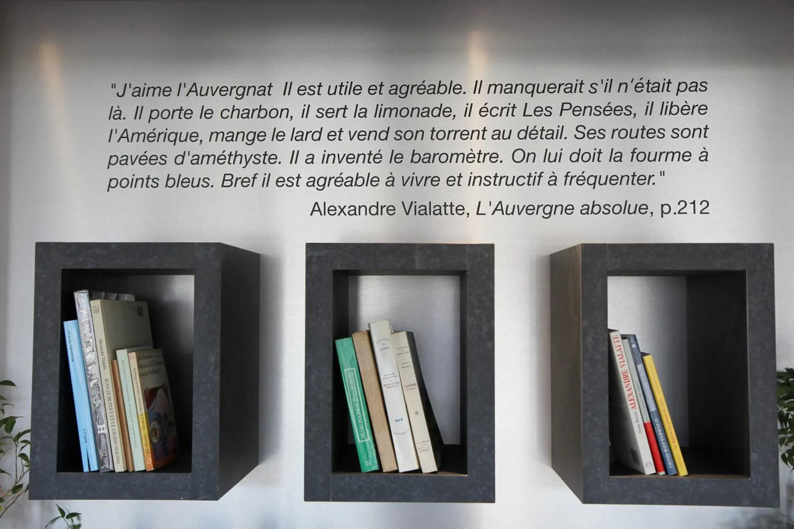 Decorative detail, Library in Best Western Plus Hotel Litteraire Alexandre Vialatte