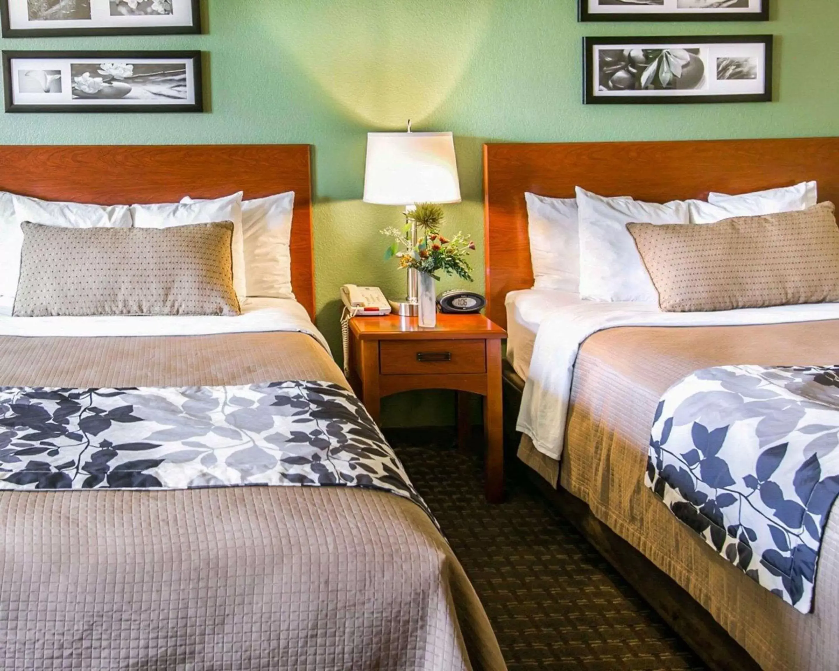 Photo of the whole room, Bed in Sleep Inn & Suites near Palmetto State Park