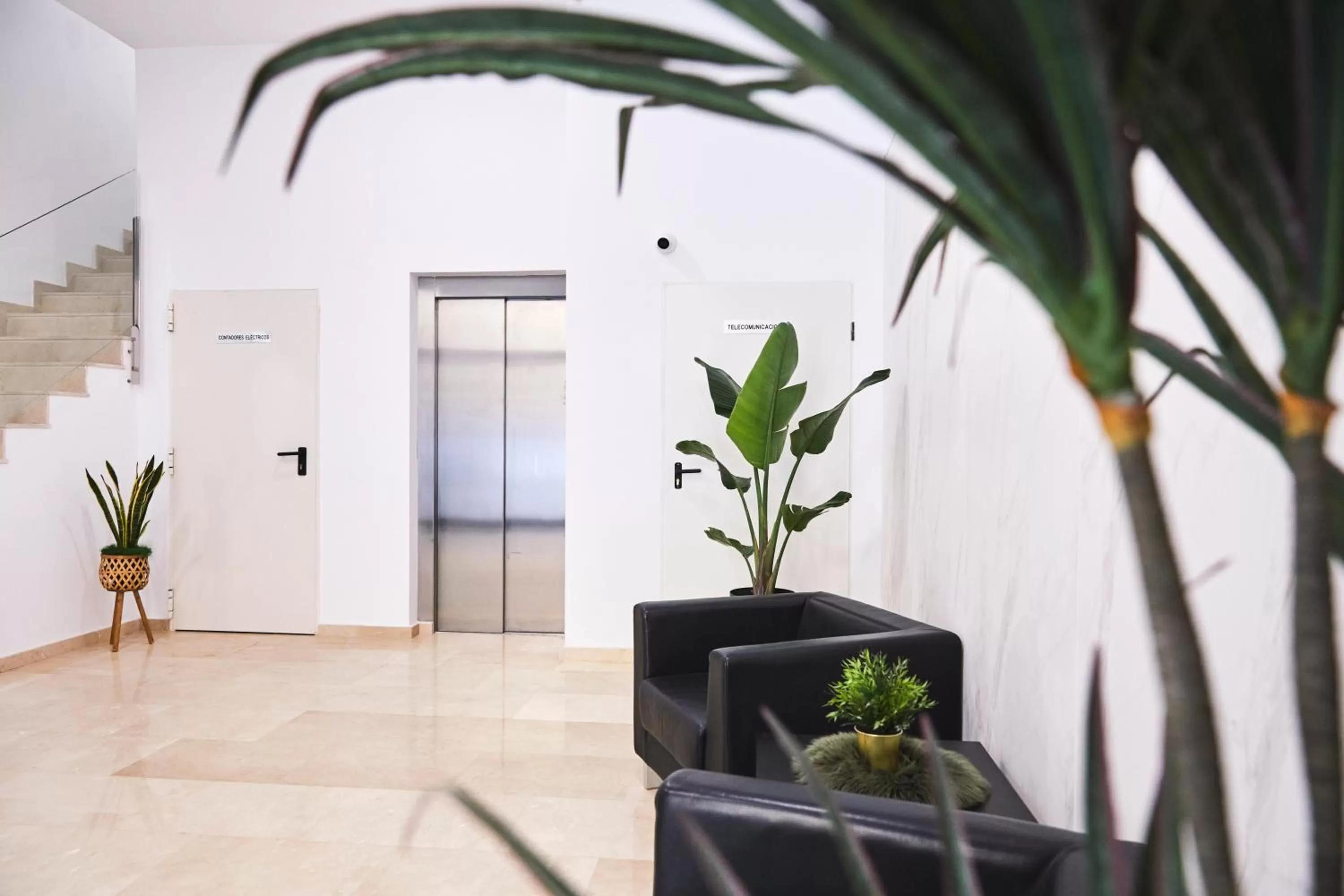 Lobby or reception in Ribalta Sensaciones