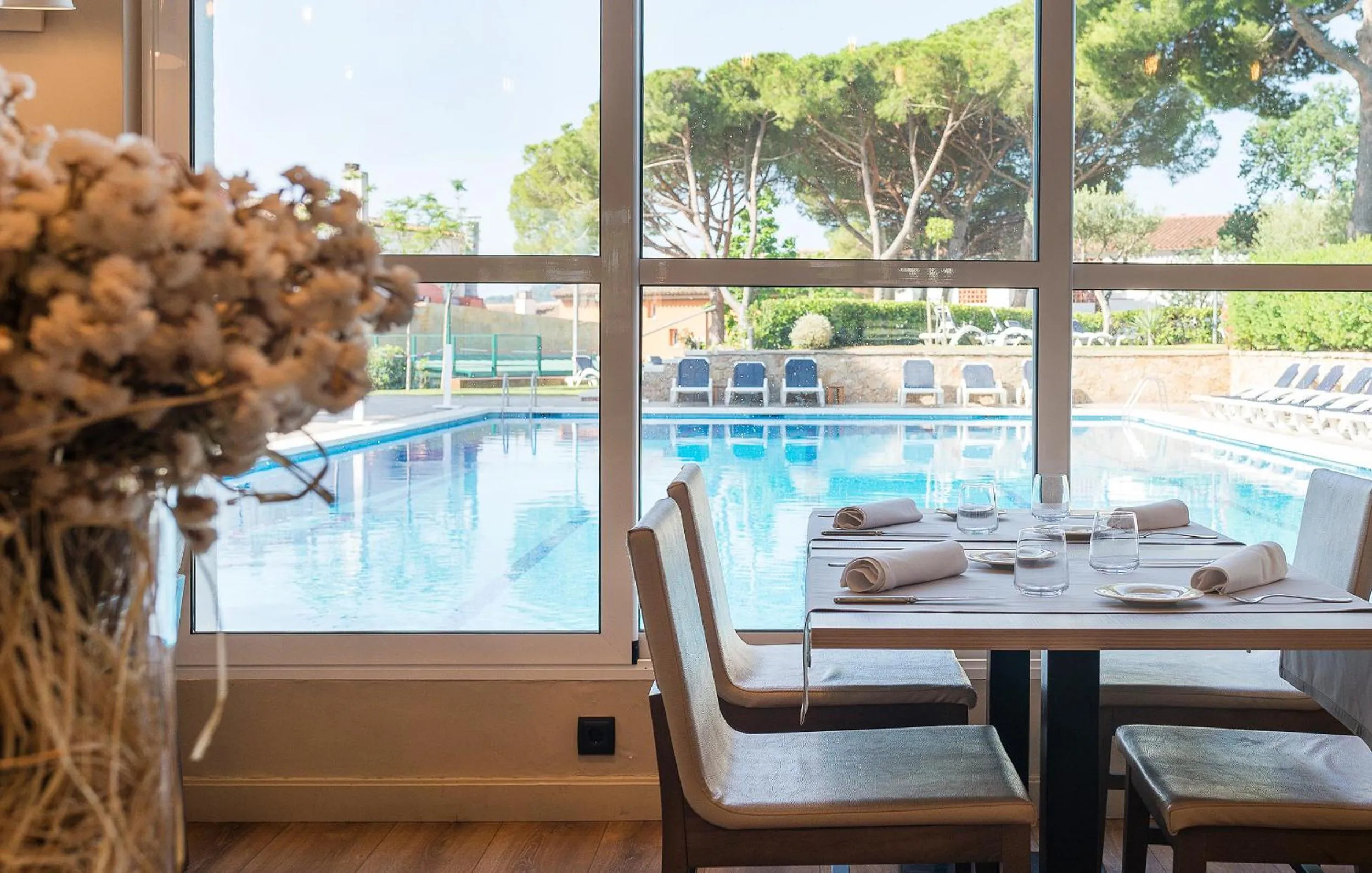 Pool view in Hotel Alga