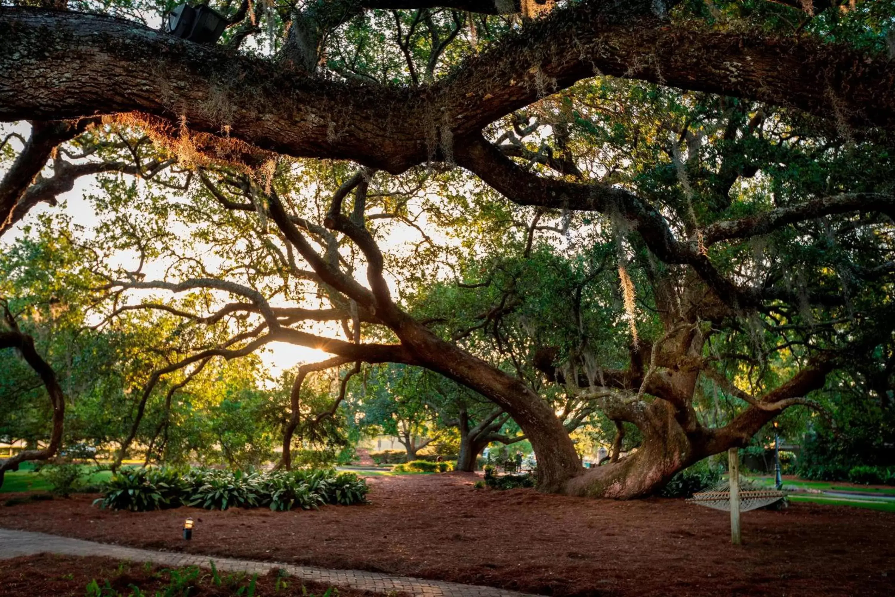 Other, Garden in The Grand Hotel Golf Resort & Spa, Autograph Collection