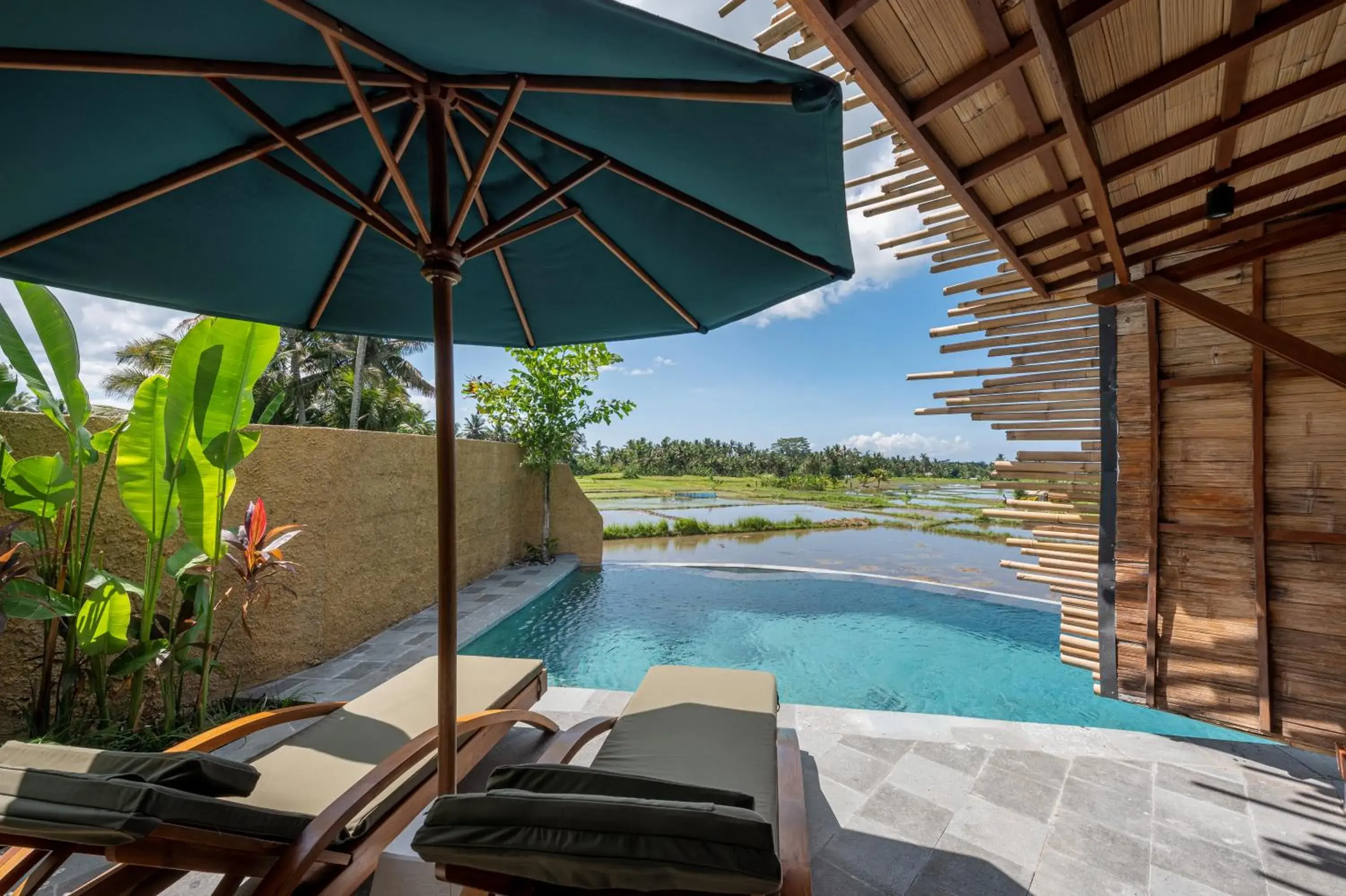 Property building, Swimming Pool in Beehouse Dijiwa Ubud