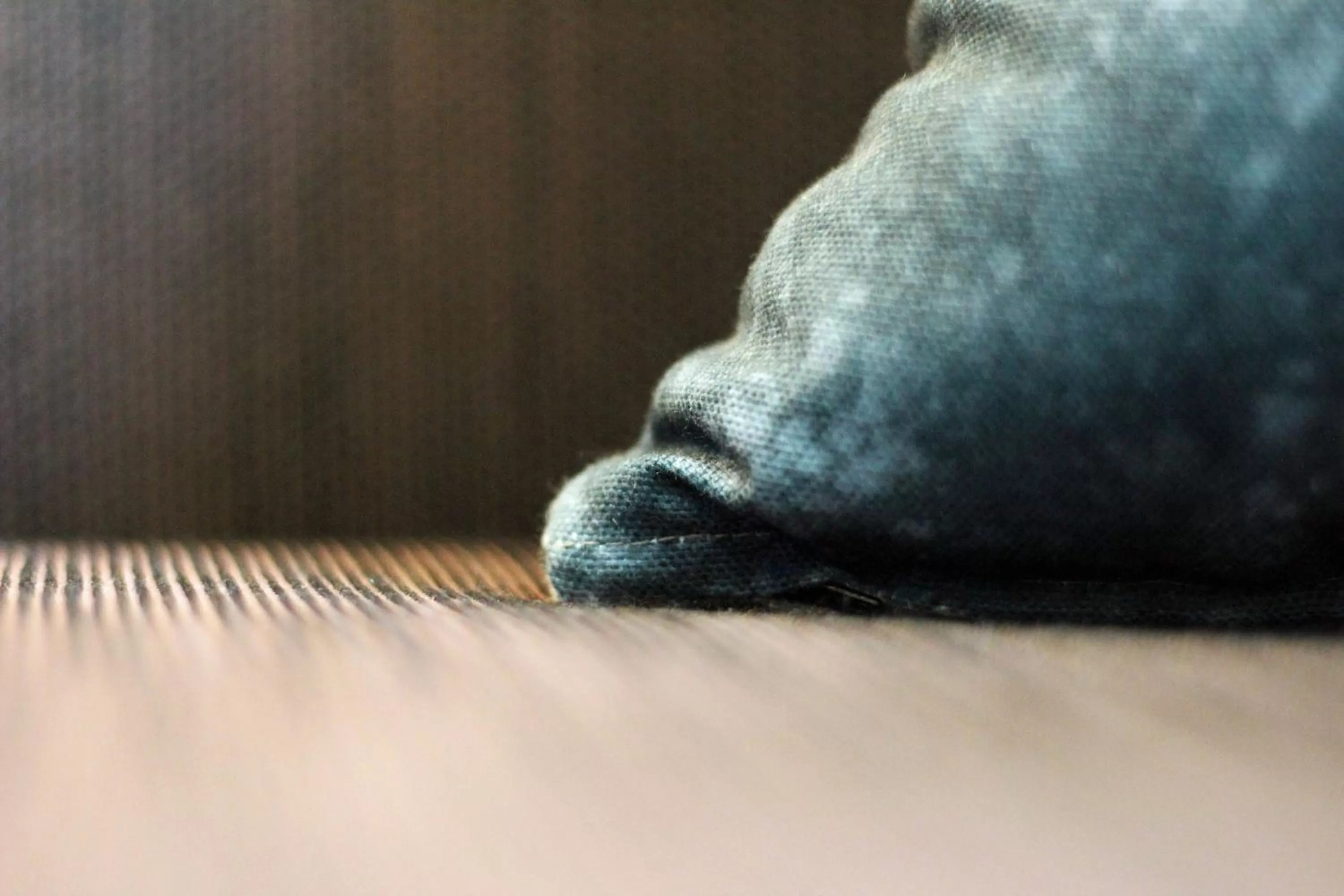 Bedroom in Hyatt Regency Sacramento