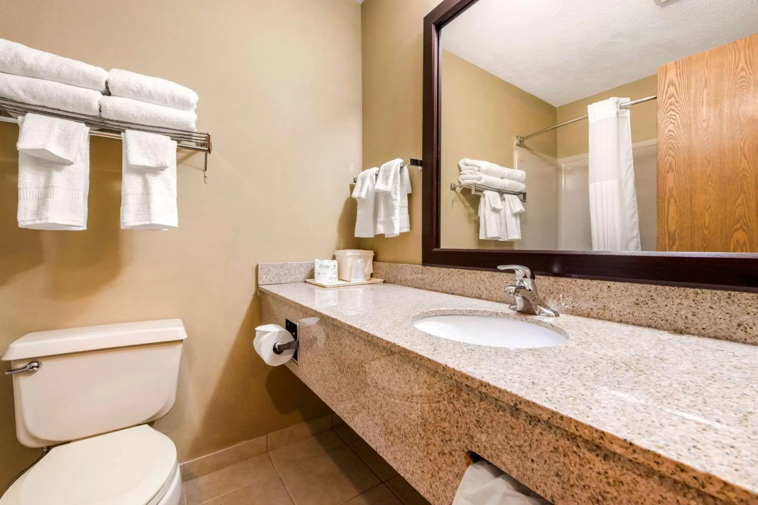 Bathroom in Quality Inn & Suites New Castle