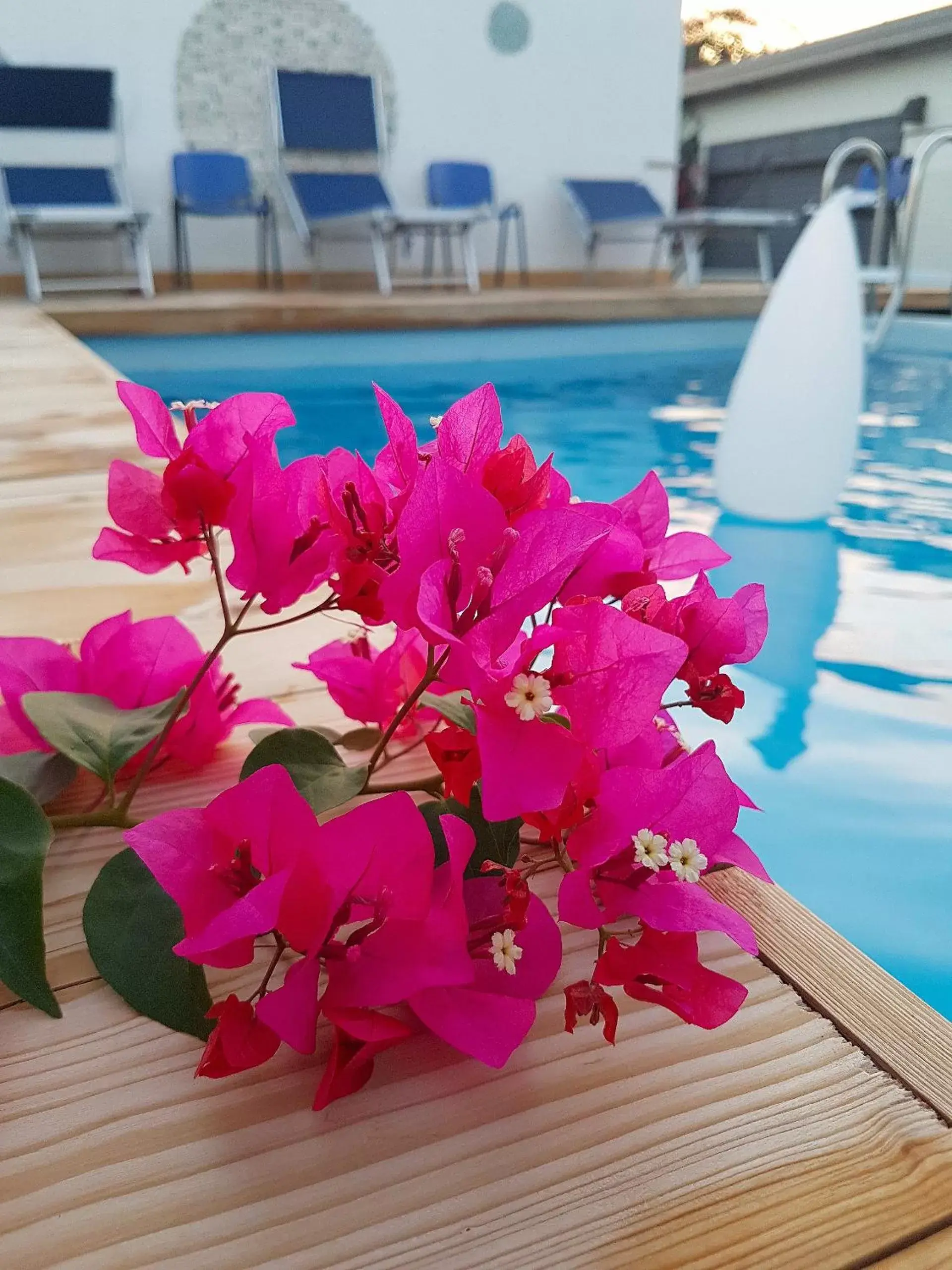 Swimming Pool in Pompei Suite