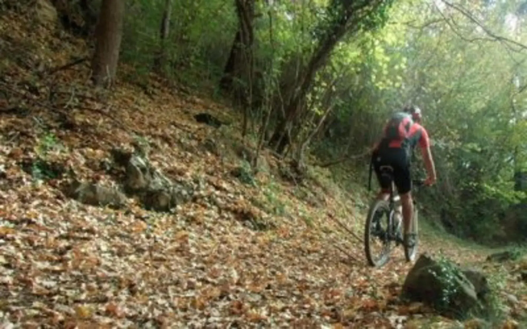 Activities, Biking in Hotel Solana del Ter